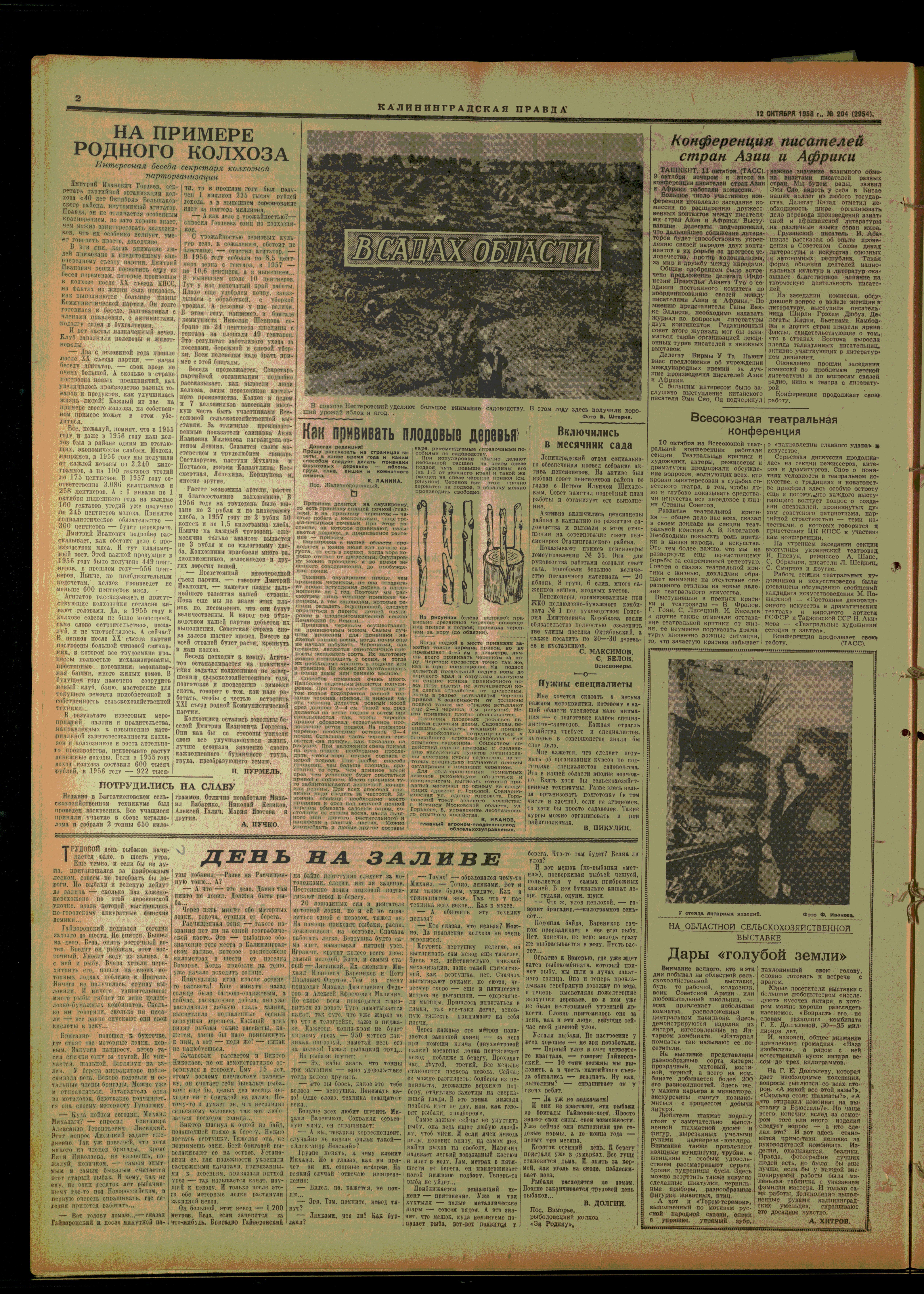 204-10-58-2