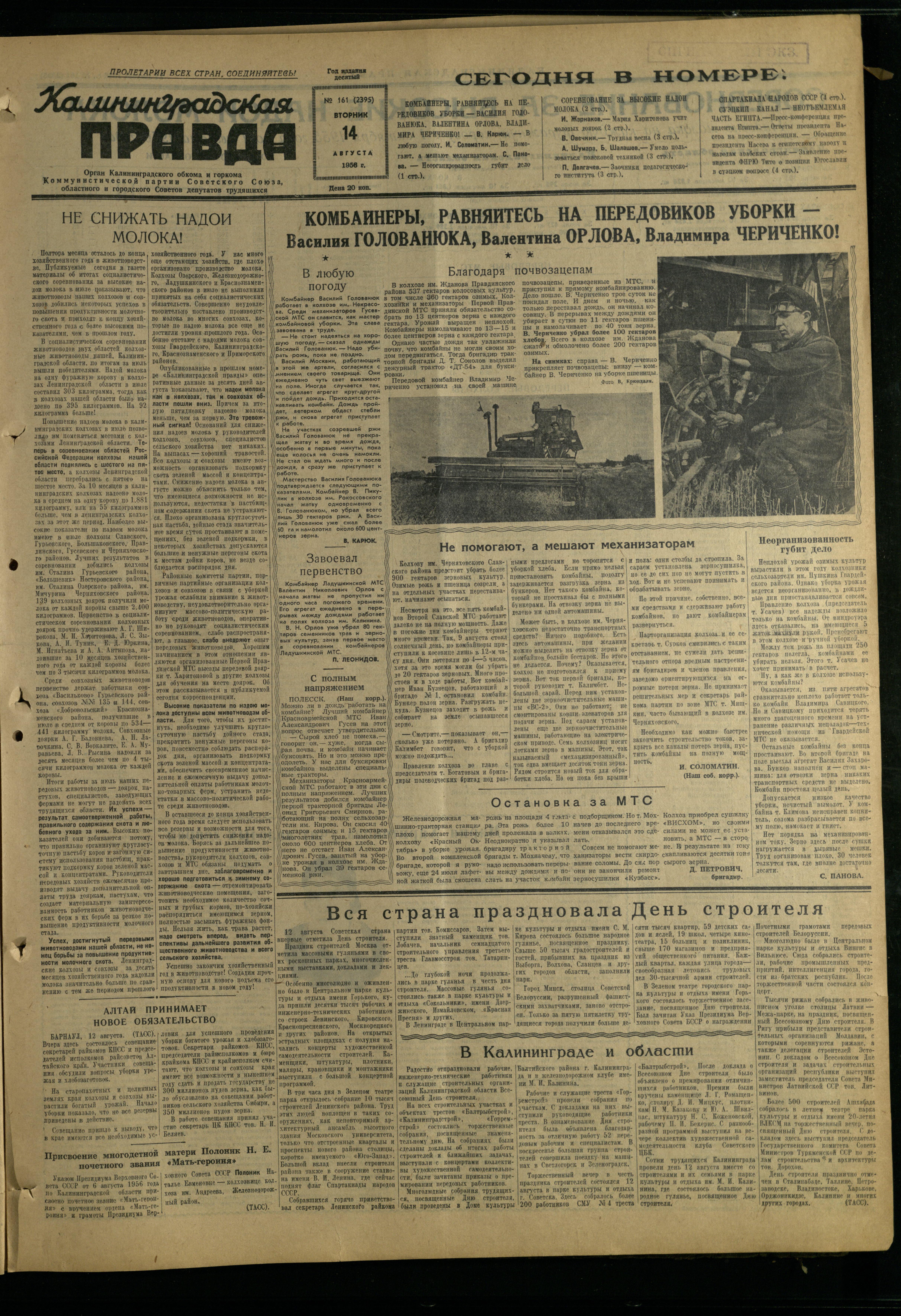 161-8-56-1