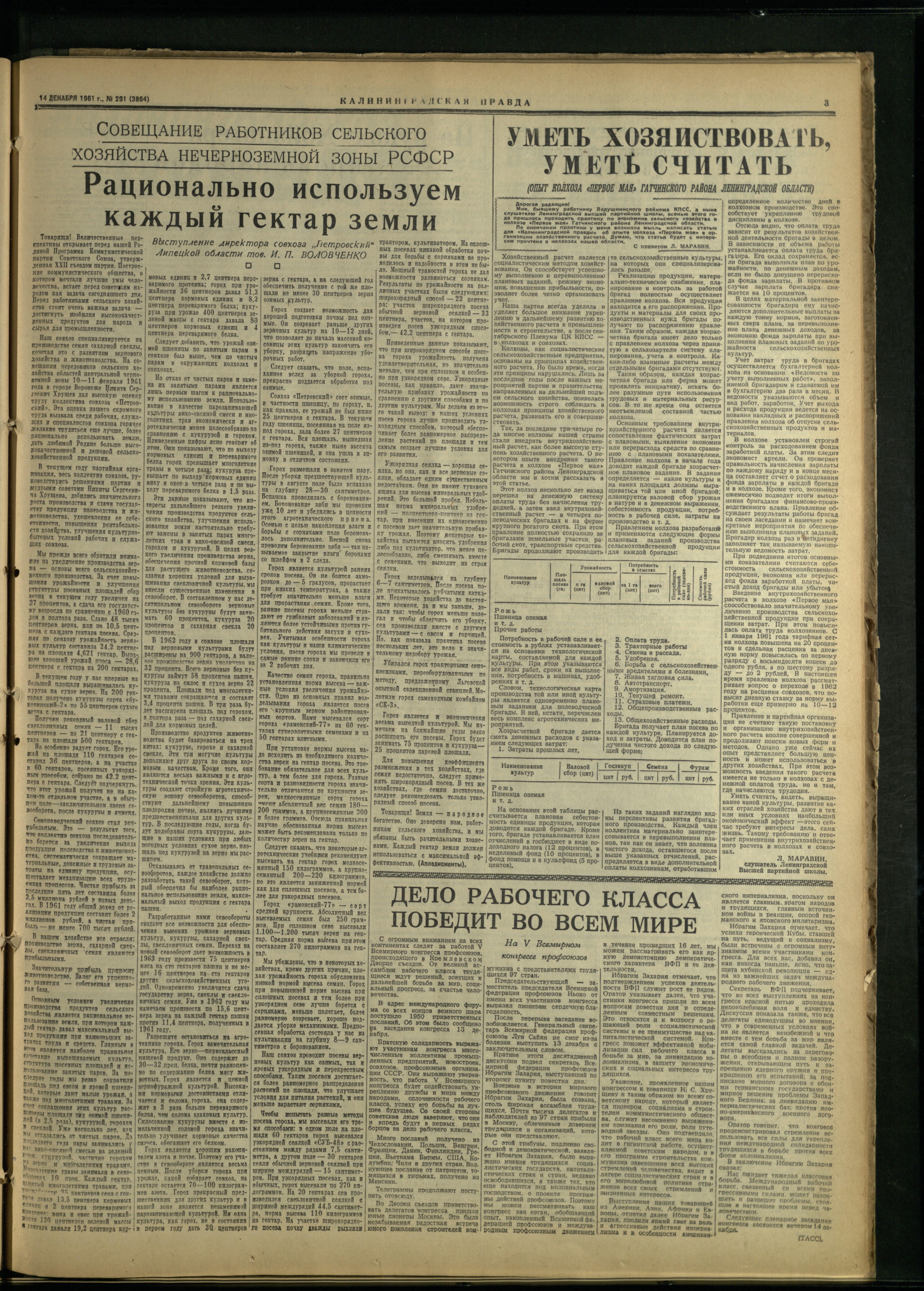 291-12-61-3