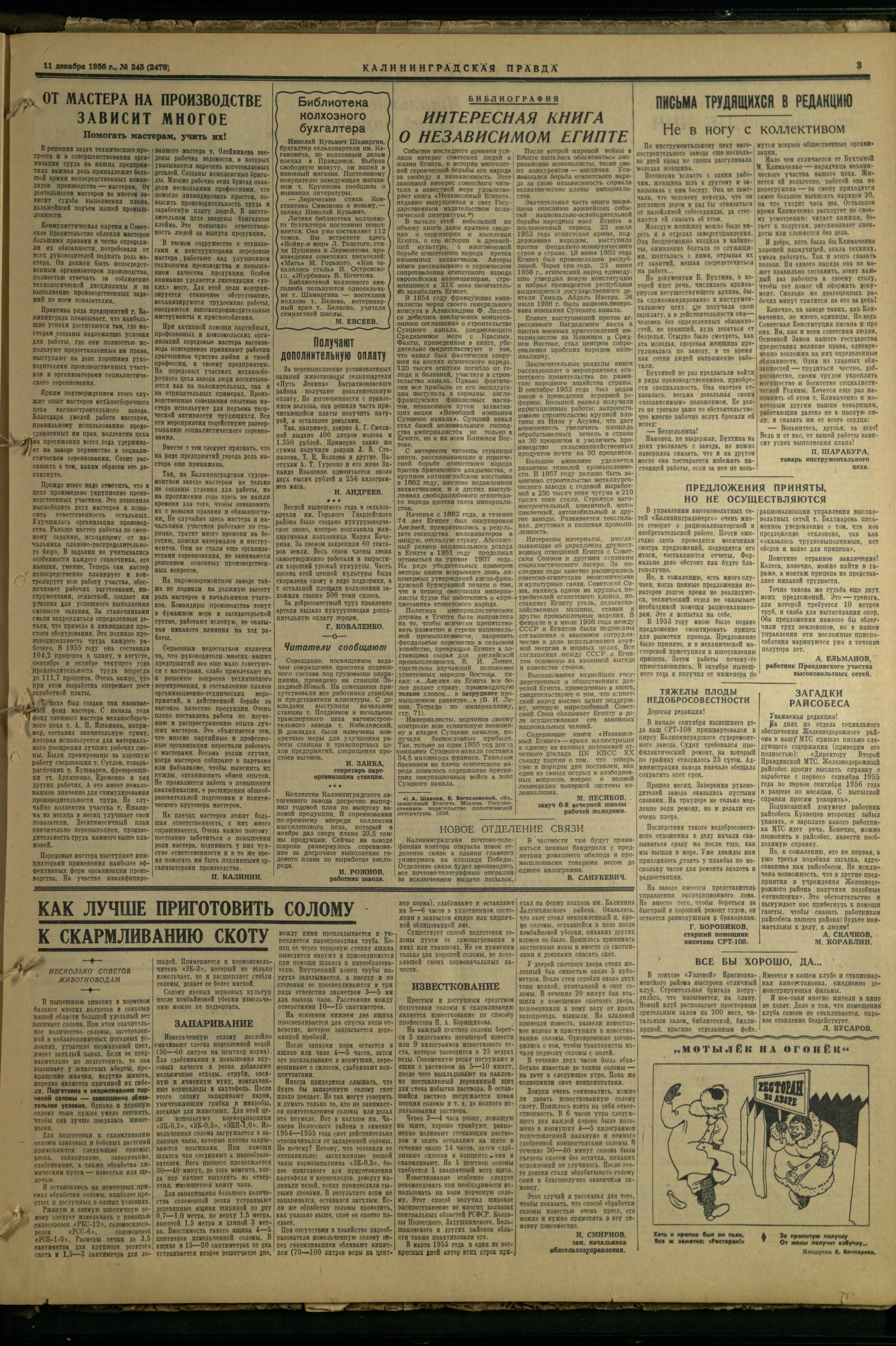 245-12-56-3