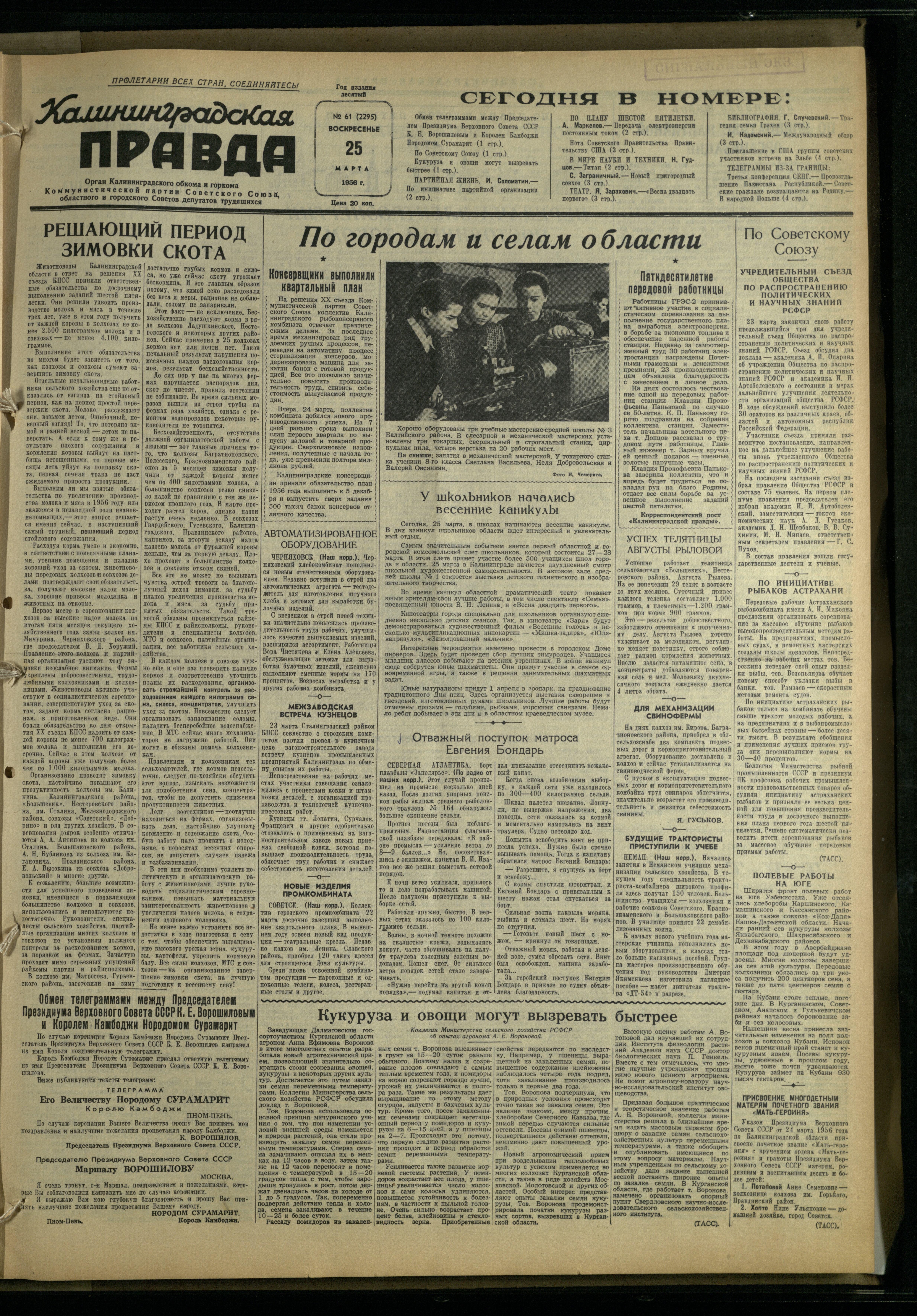 61-3-56-1