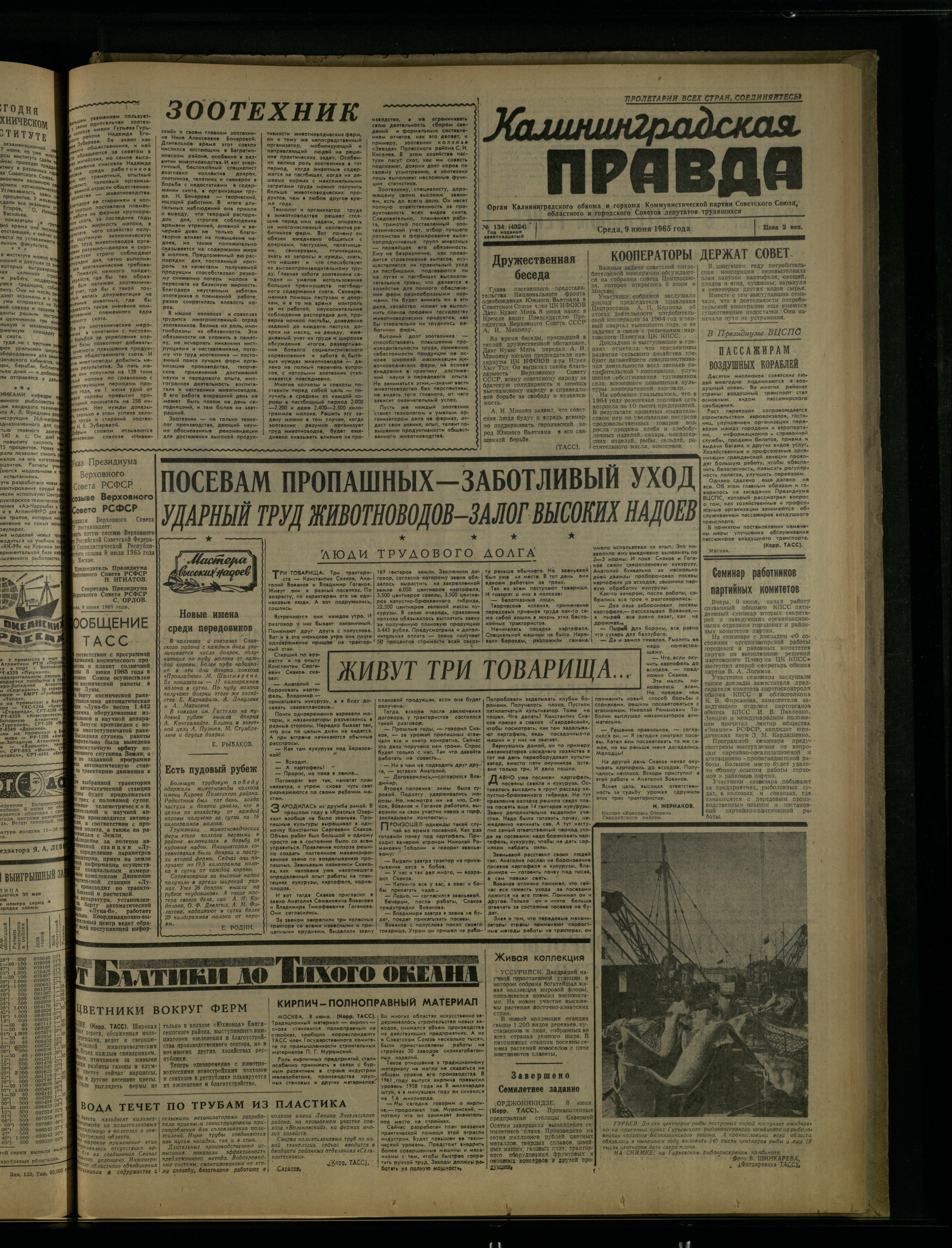 134-6-65-1