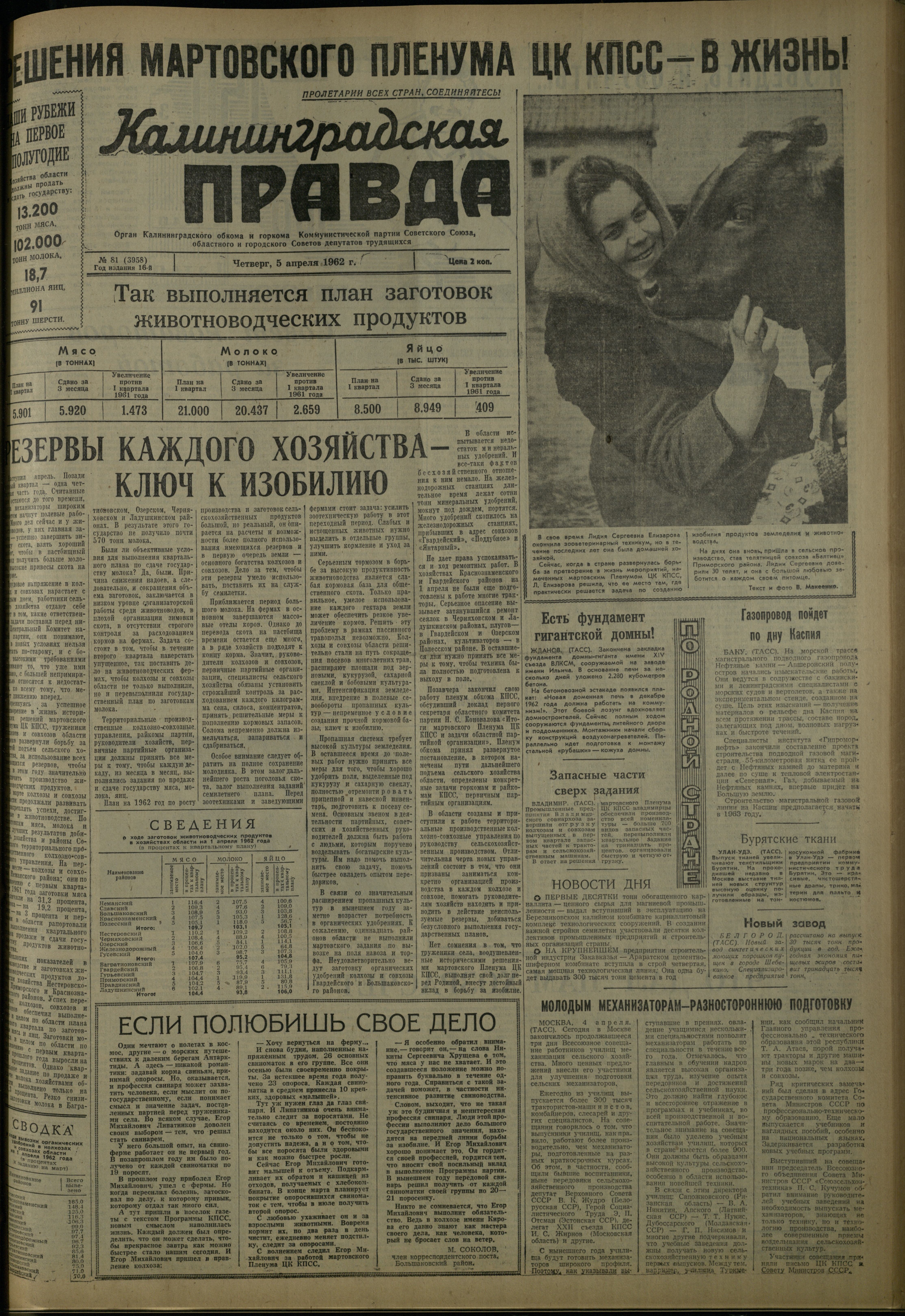 81-4-62-1