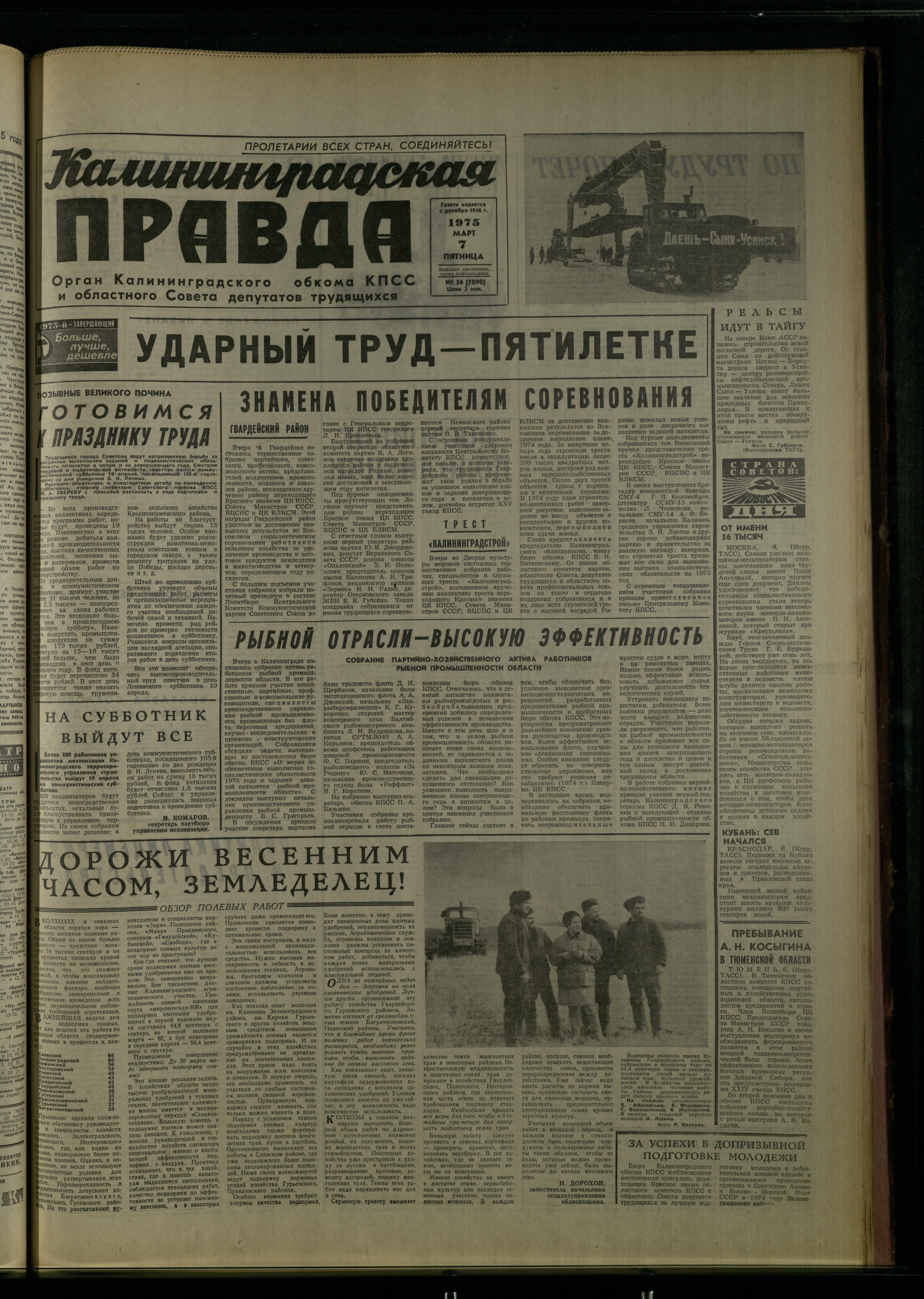 56-3-75-1