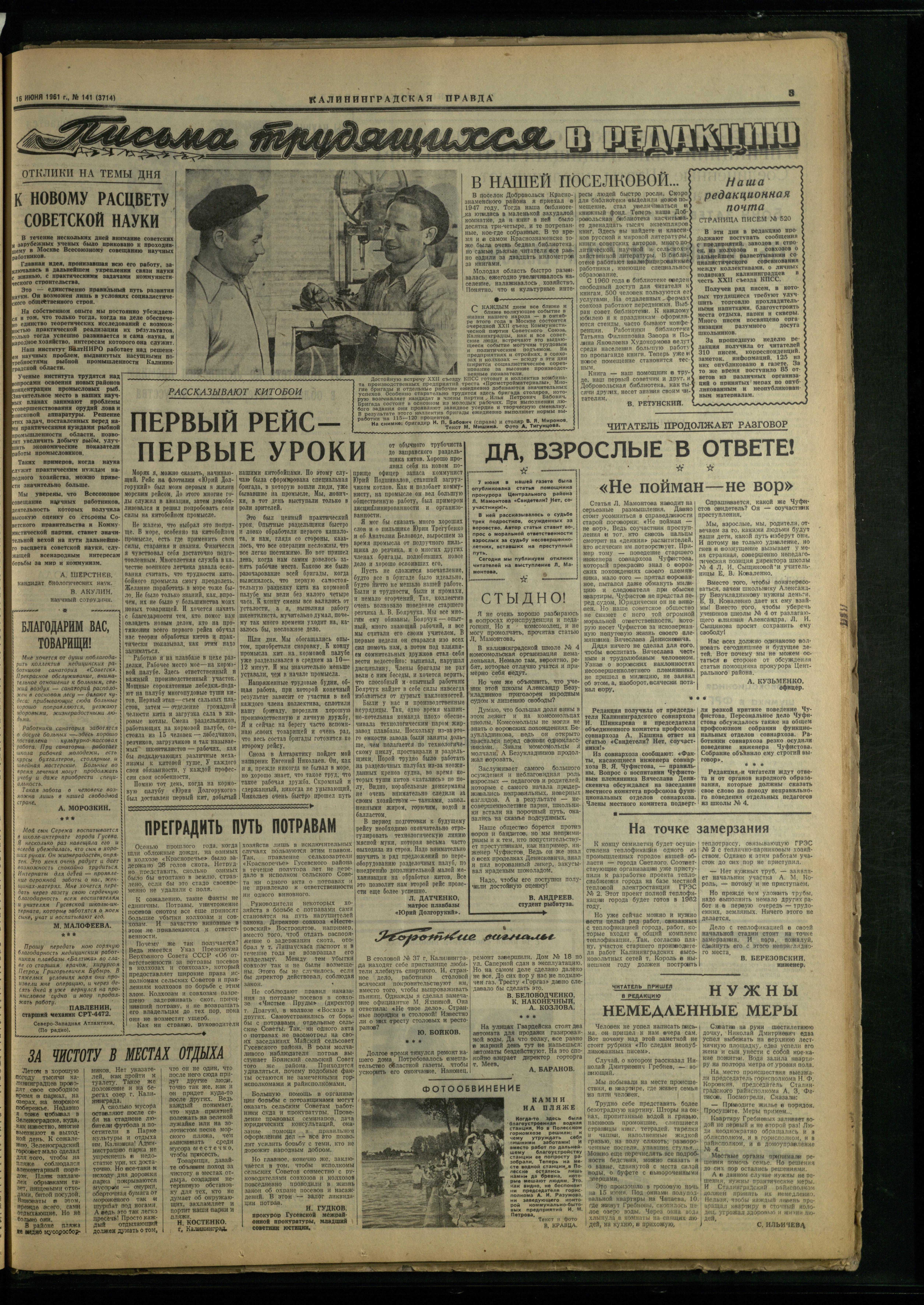 141-6-61-3
