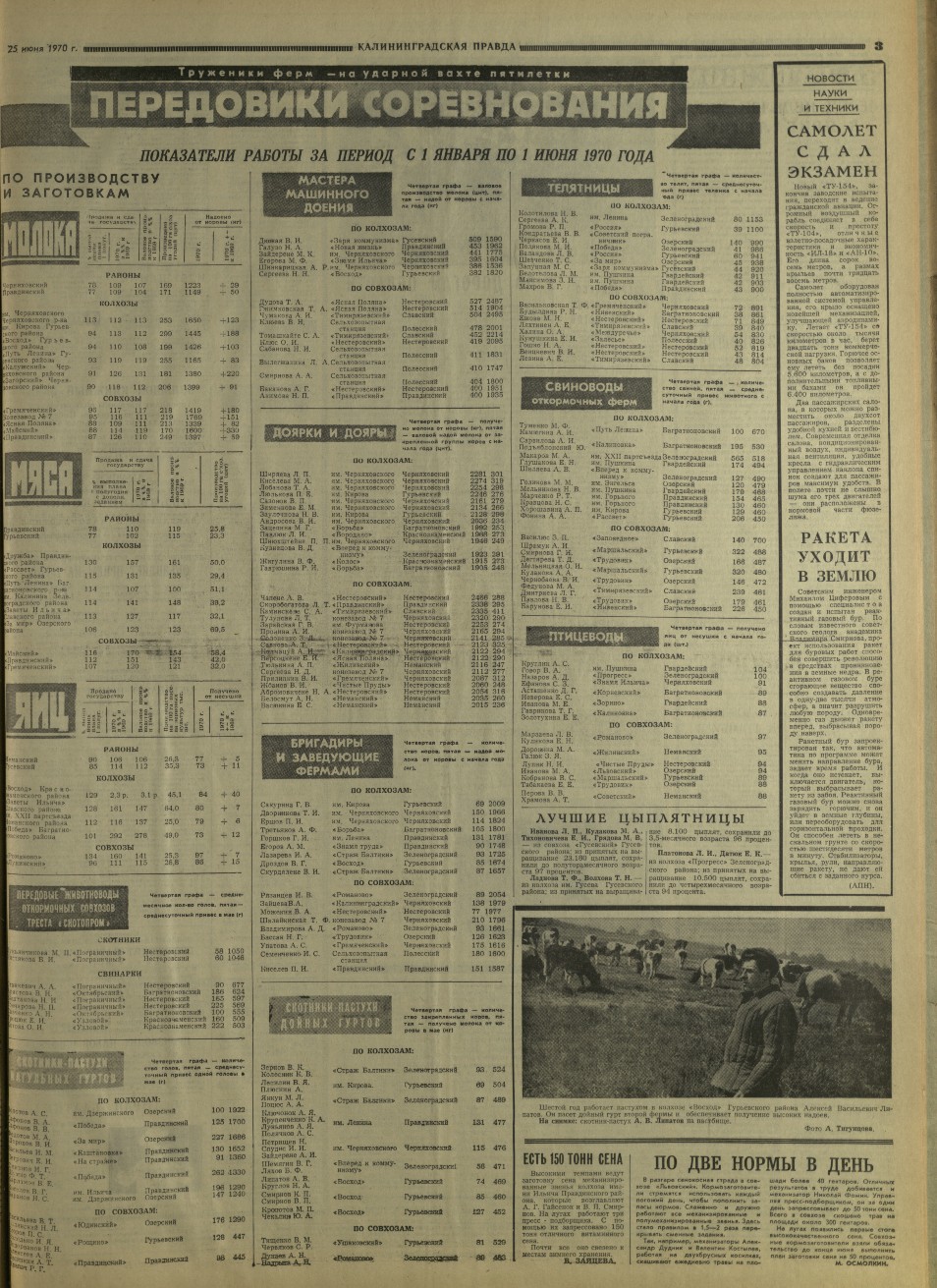 146-6-70-3