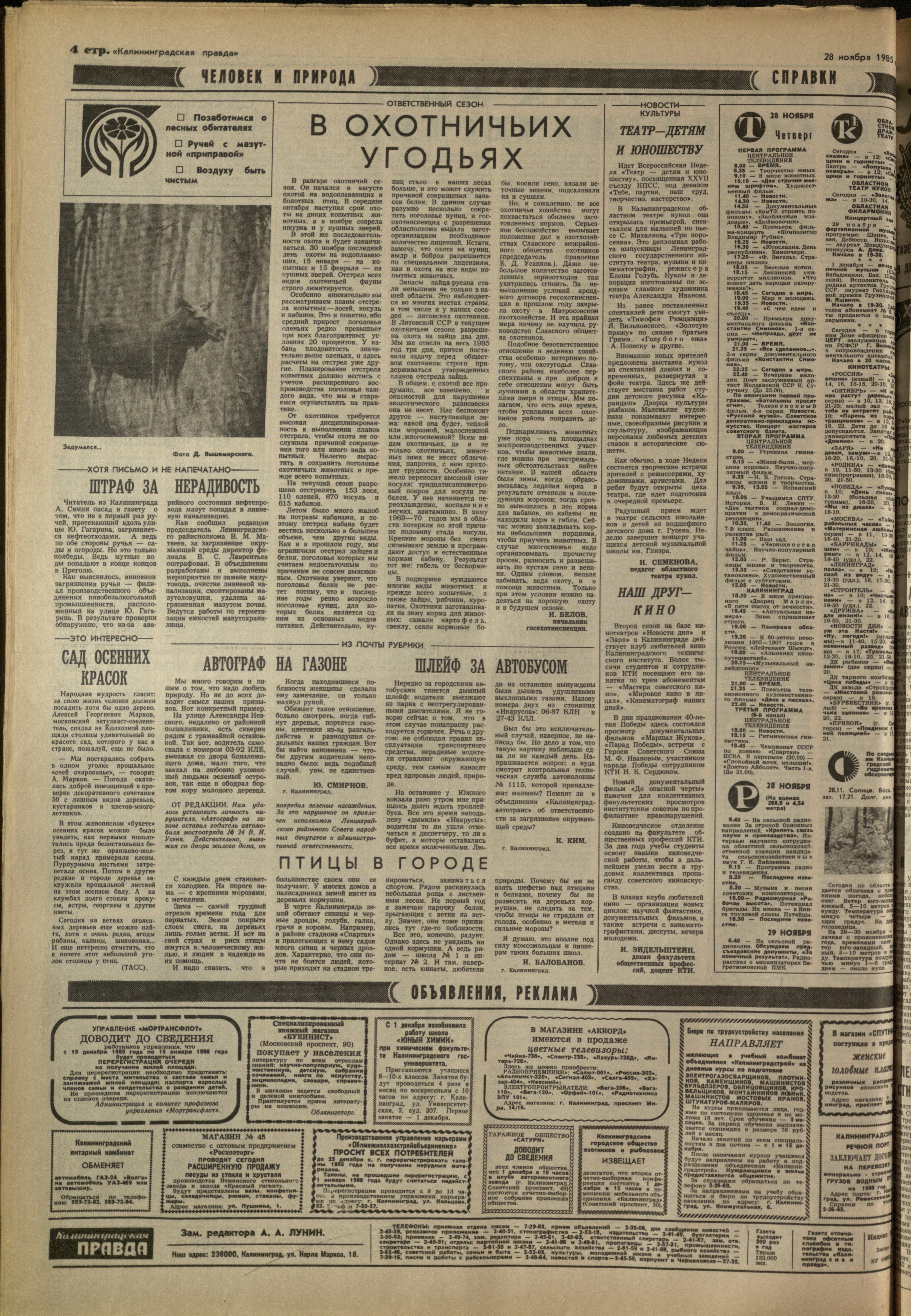 273-11-85-4