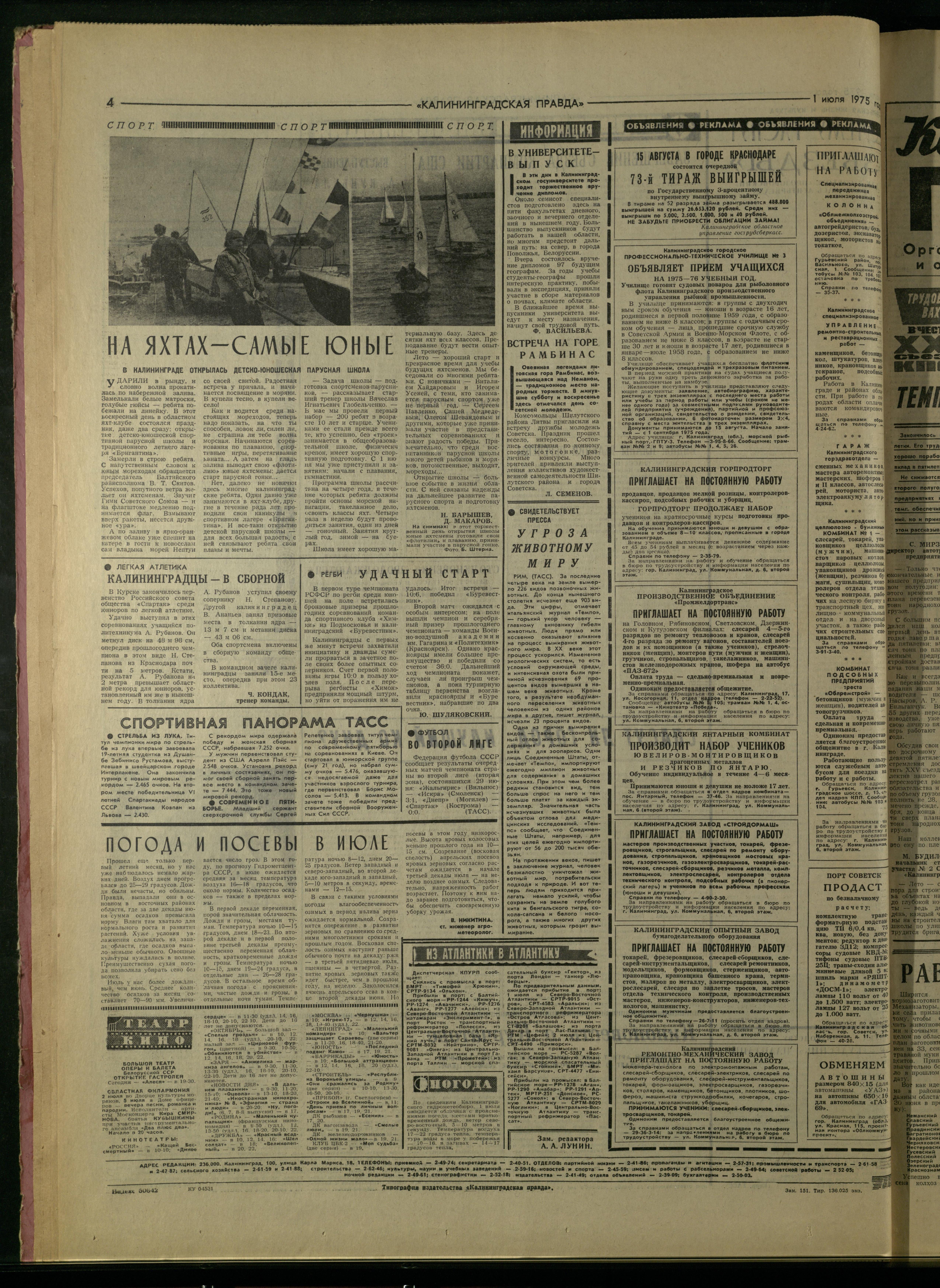 151-7-75-4