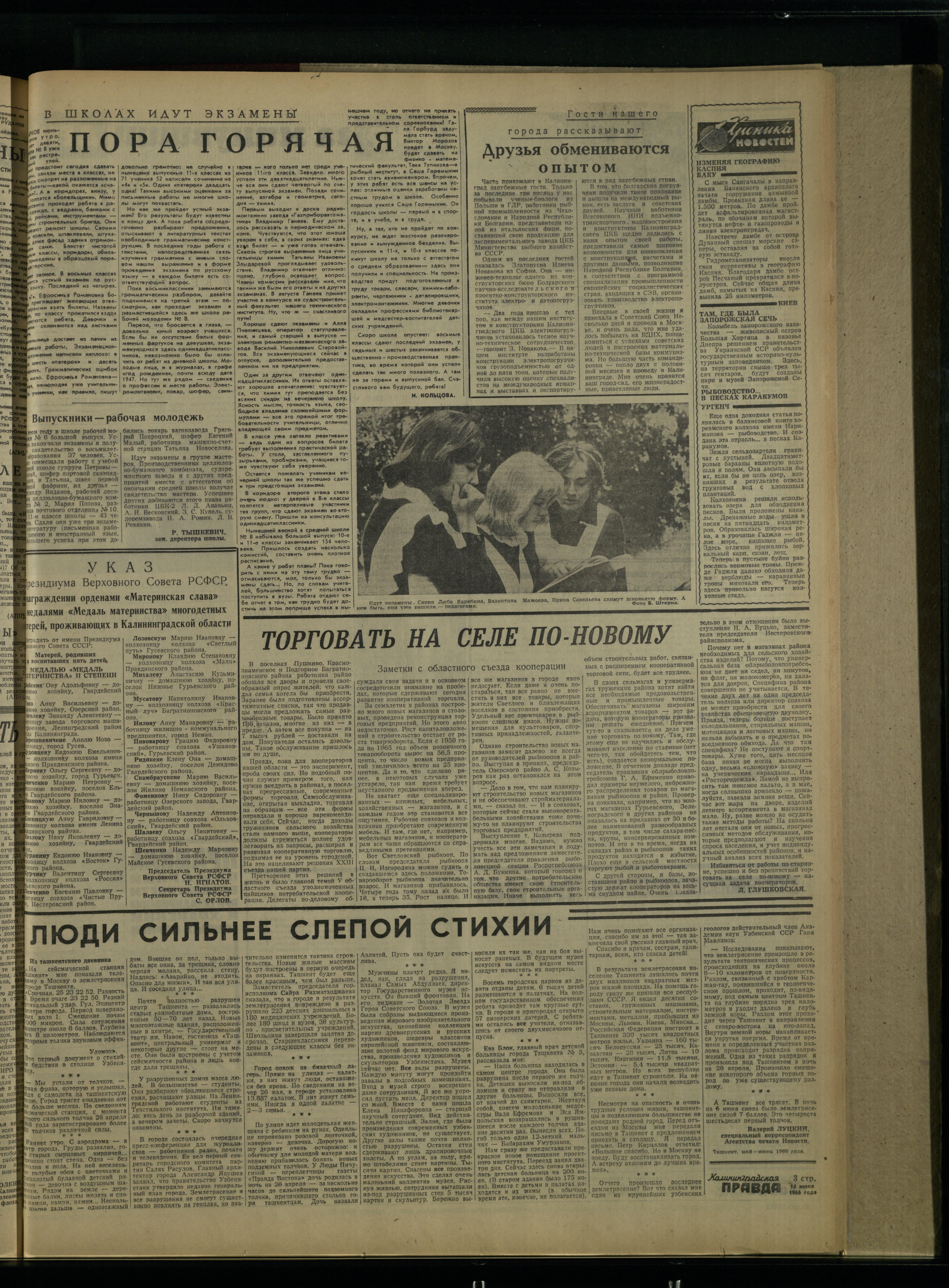 137-6-66-3