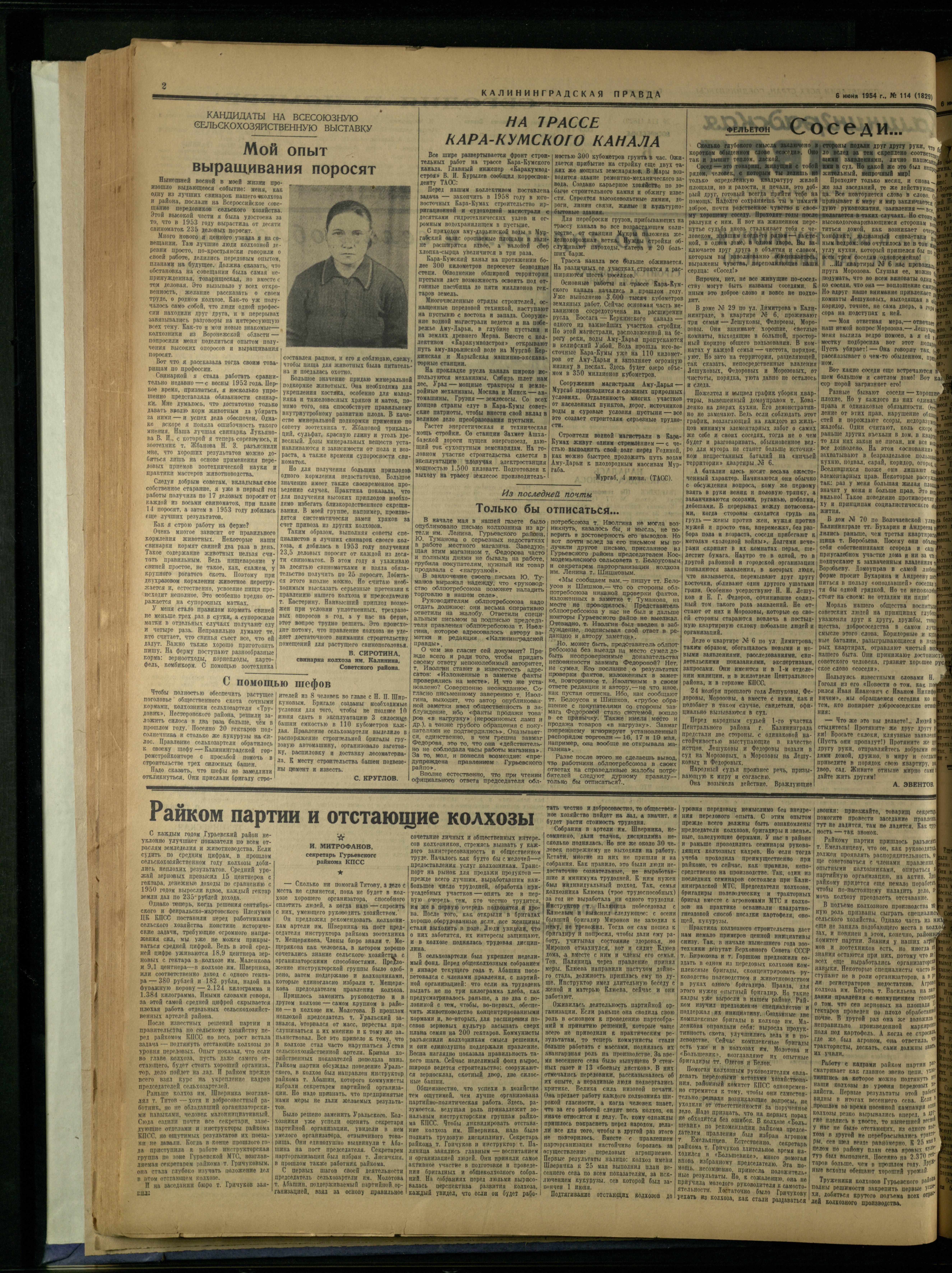 114-6-54-2