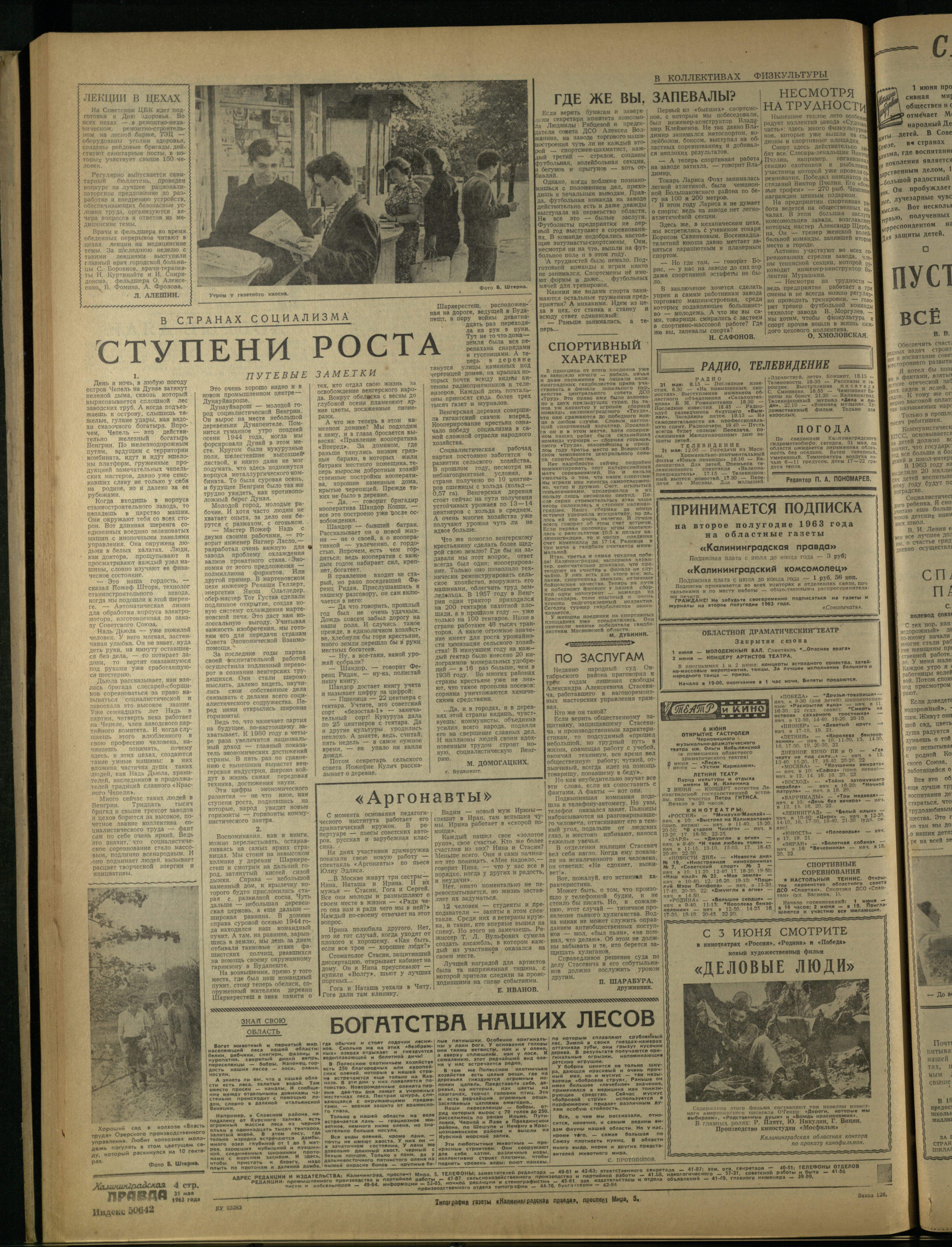 126-5-63-4