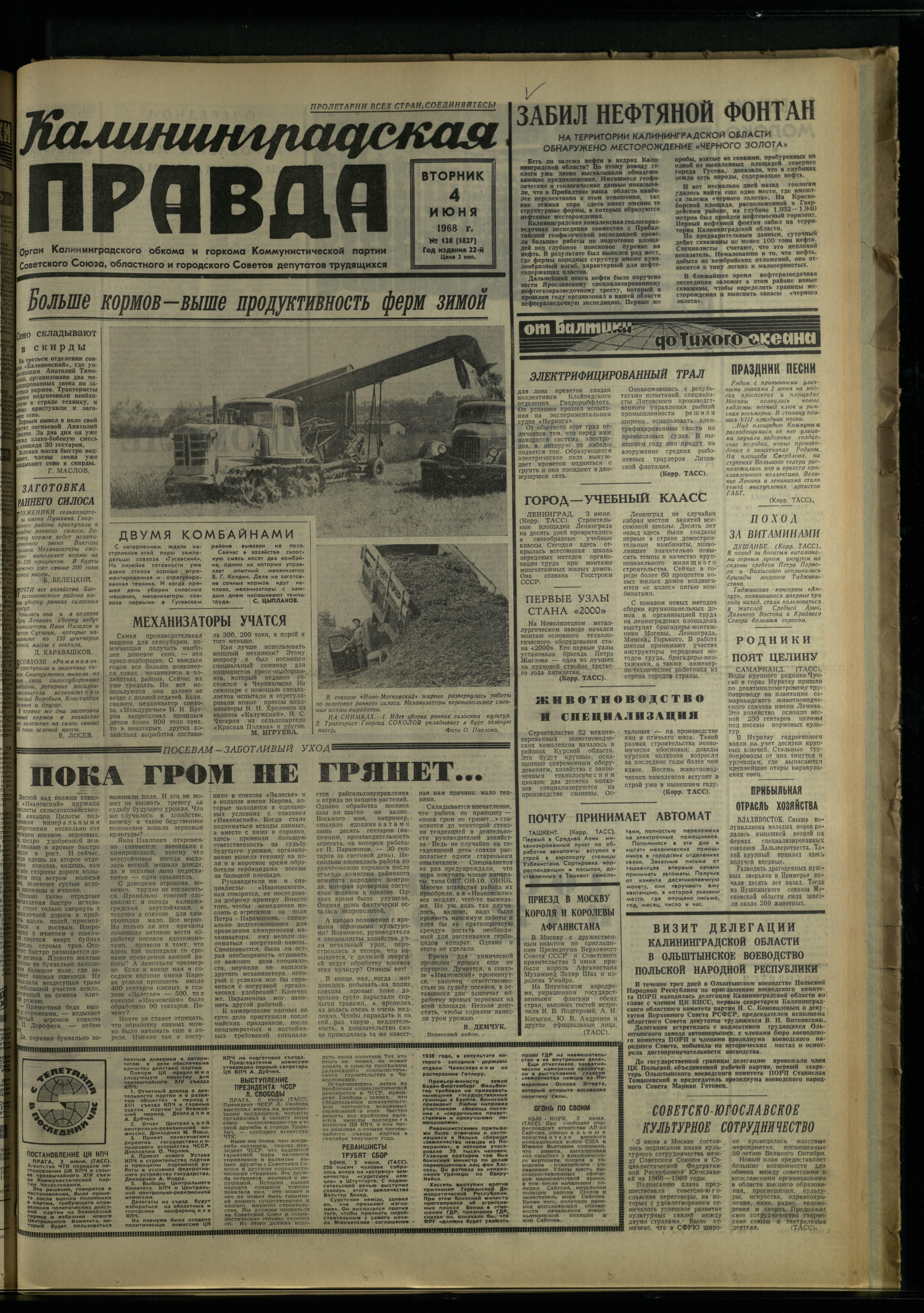 128-6-68-1