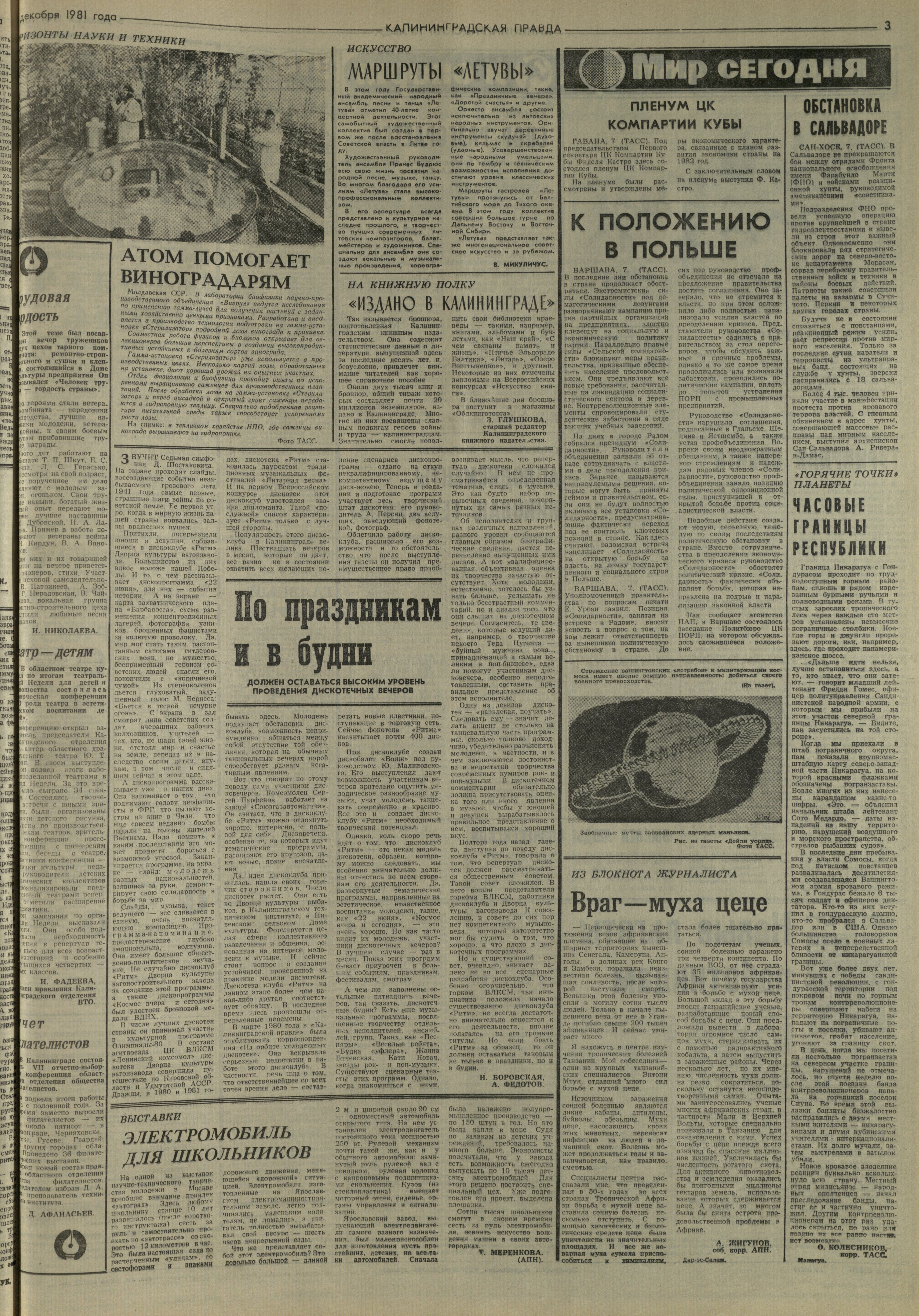 281-12-81-3