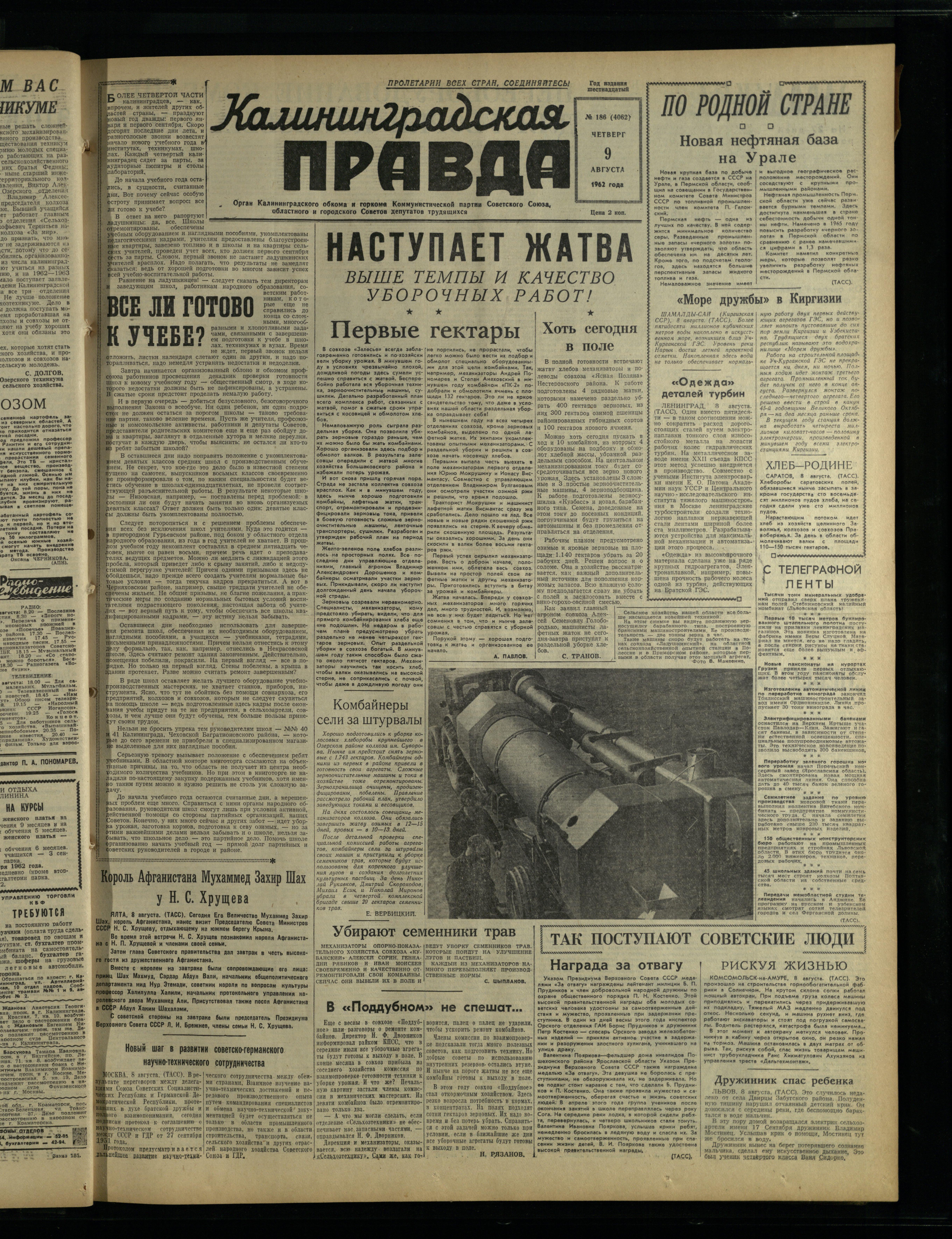 186-8-62-1