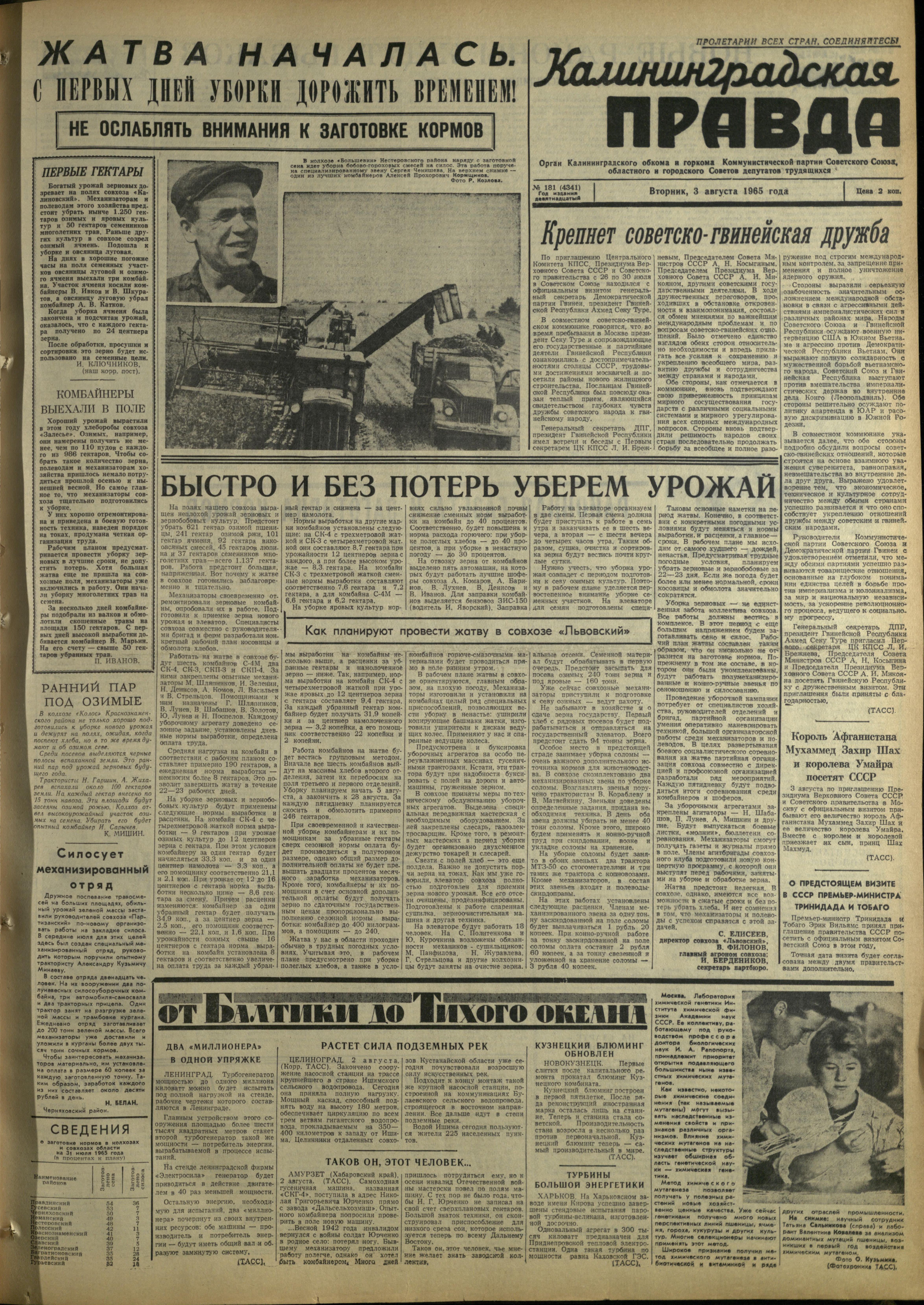 181-8-65-1