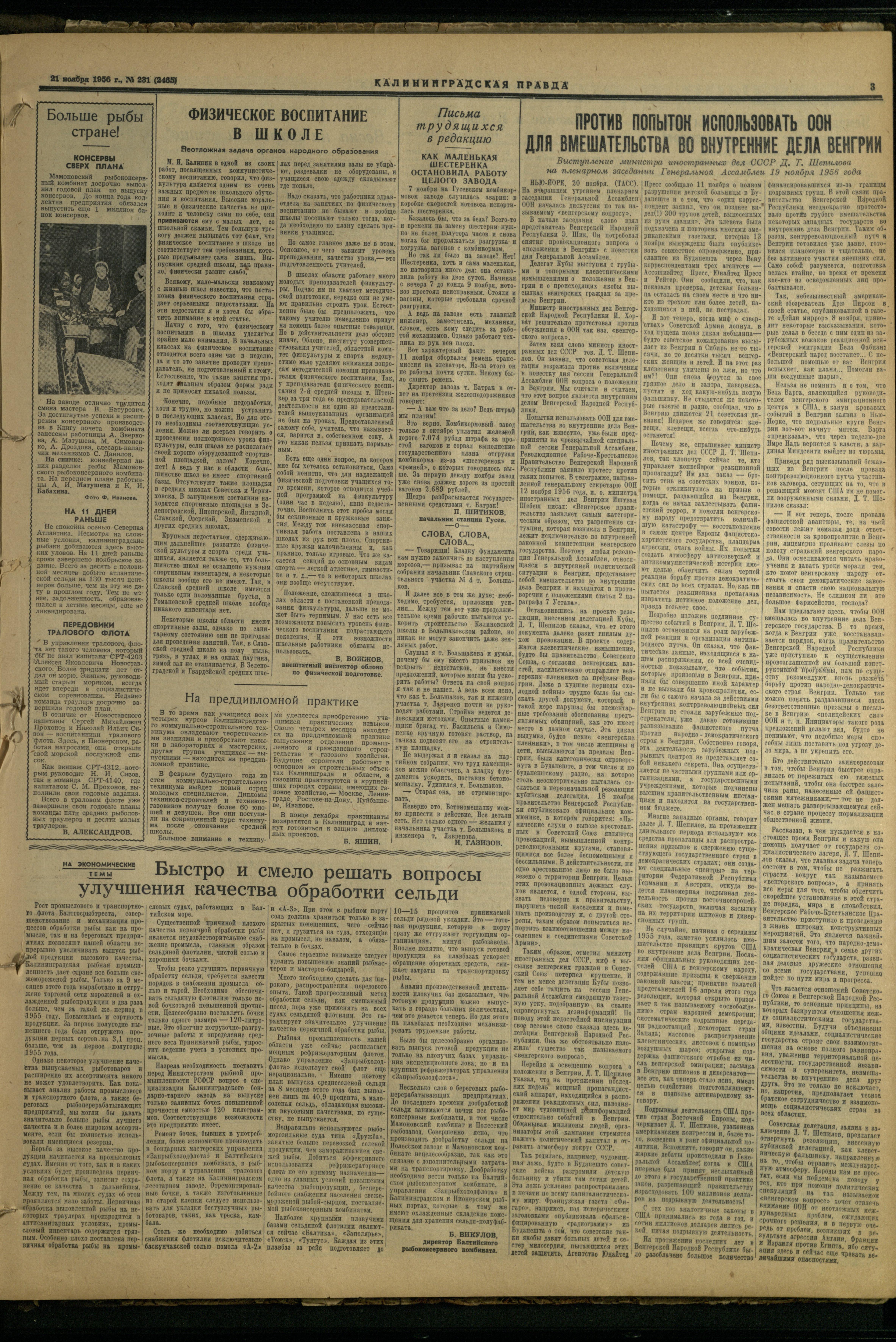 231-11-56-3