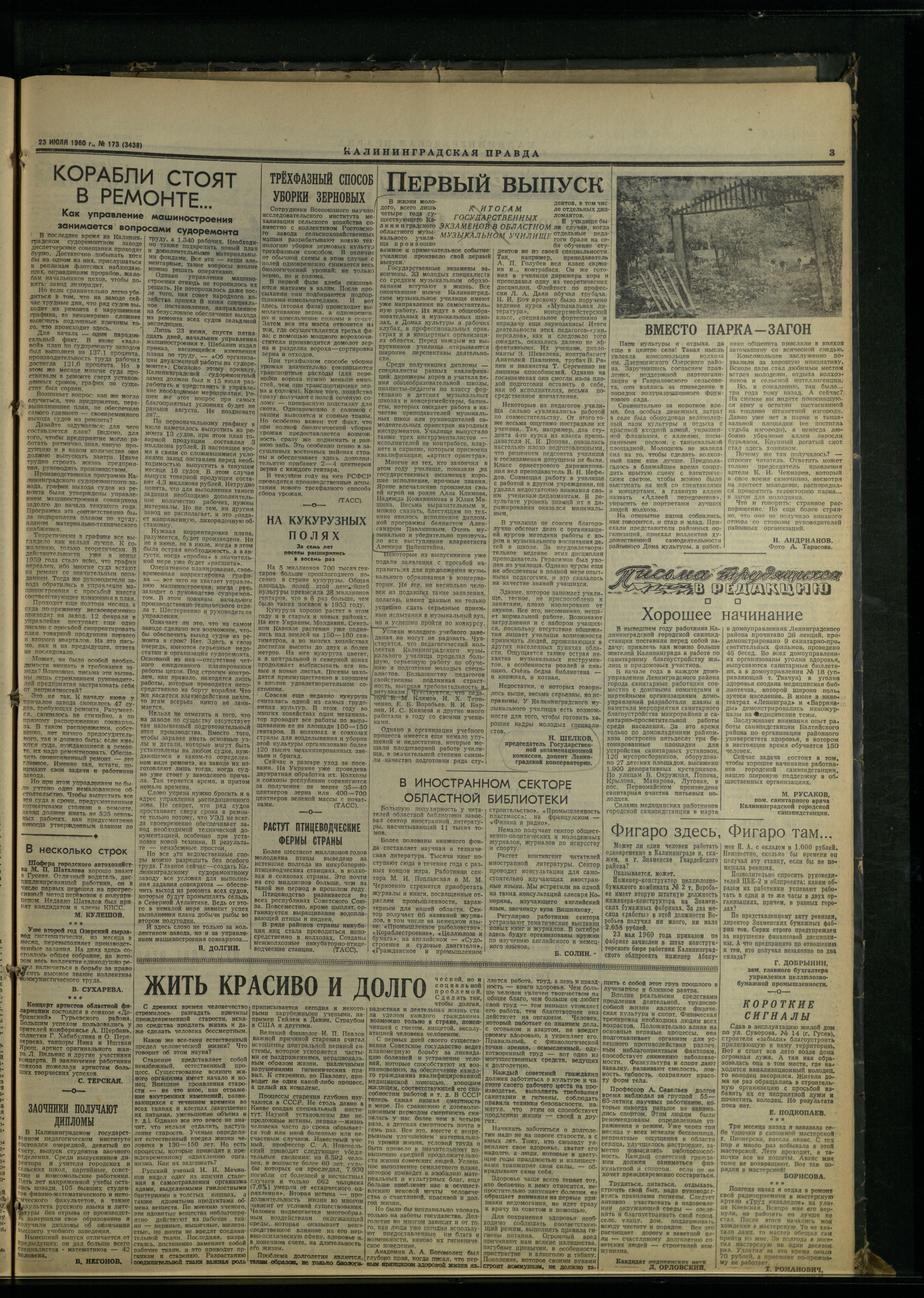 173-7-60-3