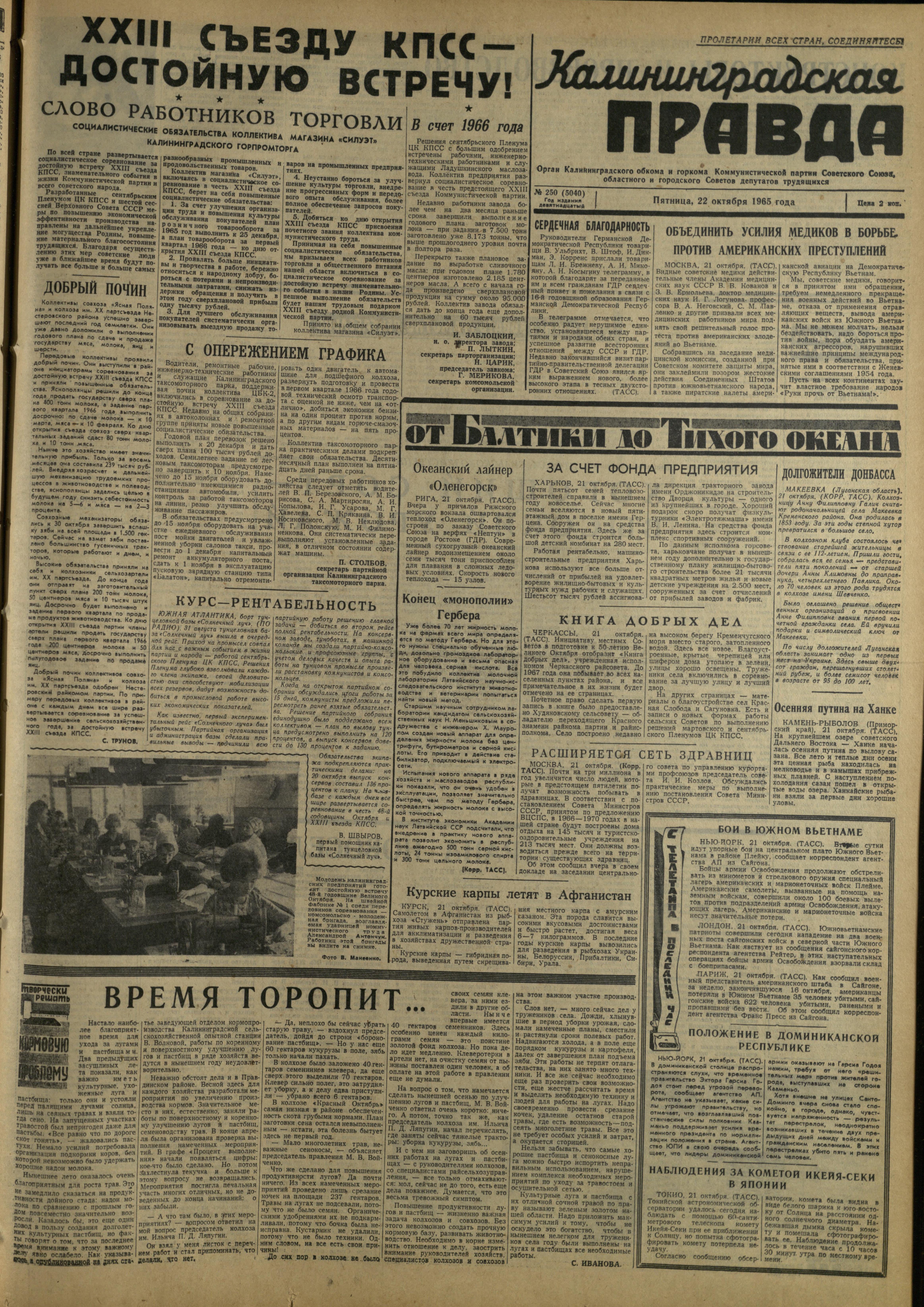 250-10-65-1