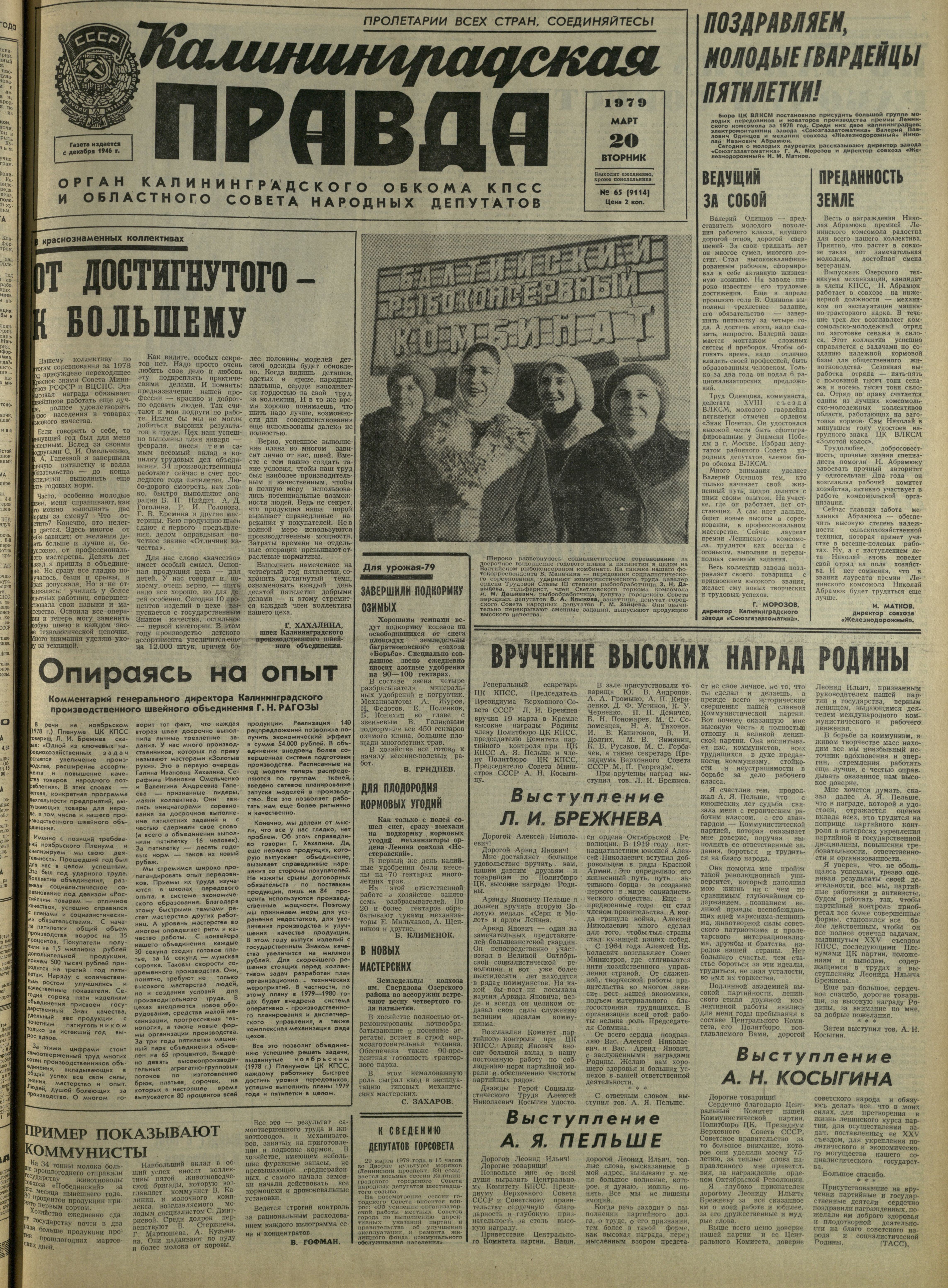 65-3-79-1