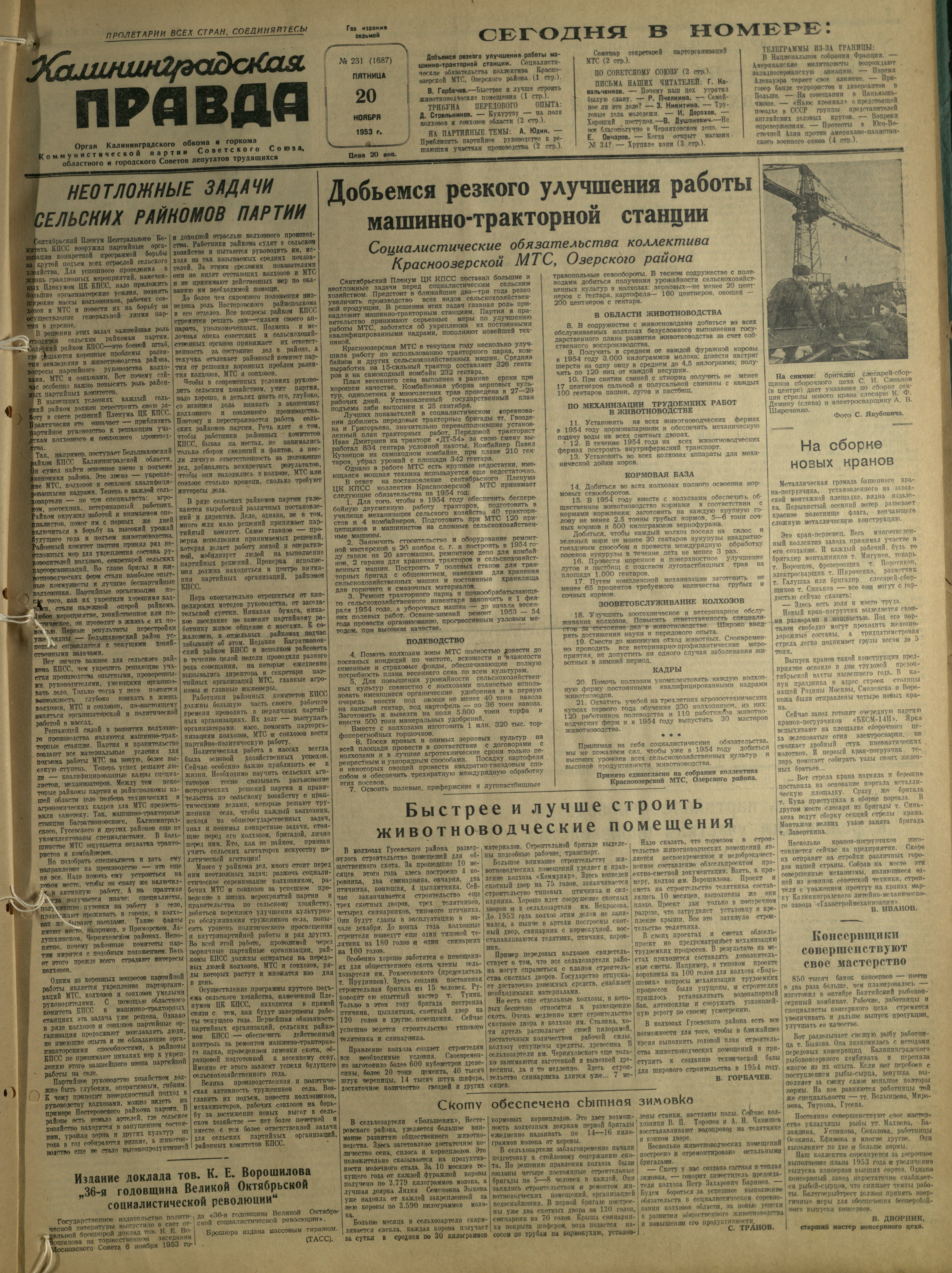 231-11-53-1