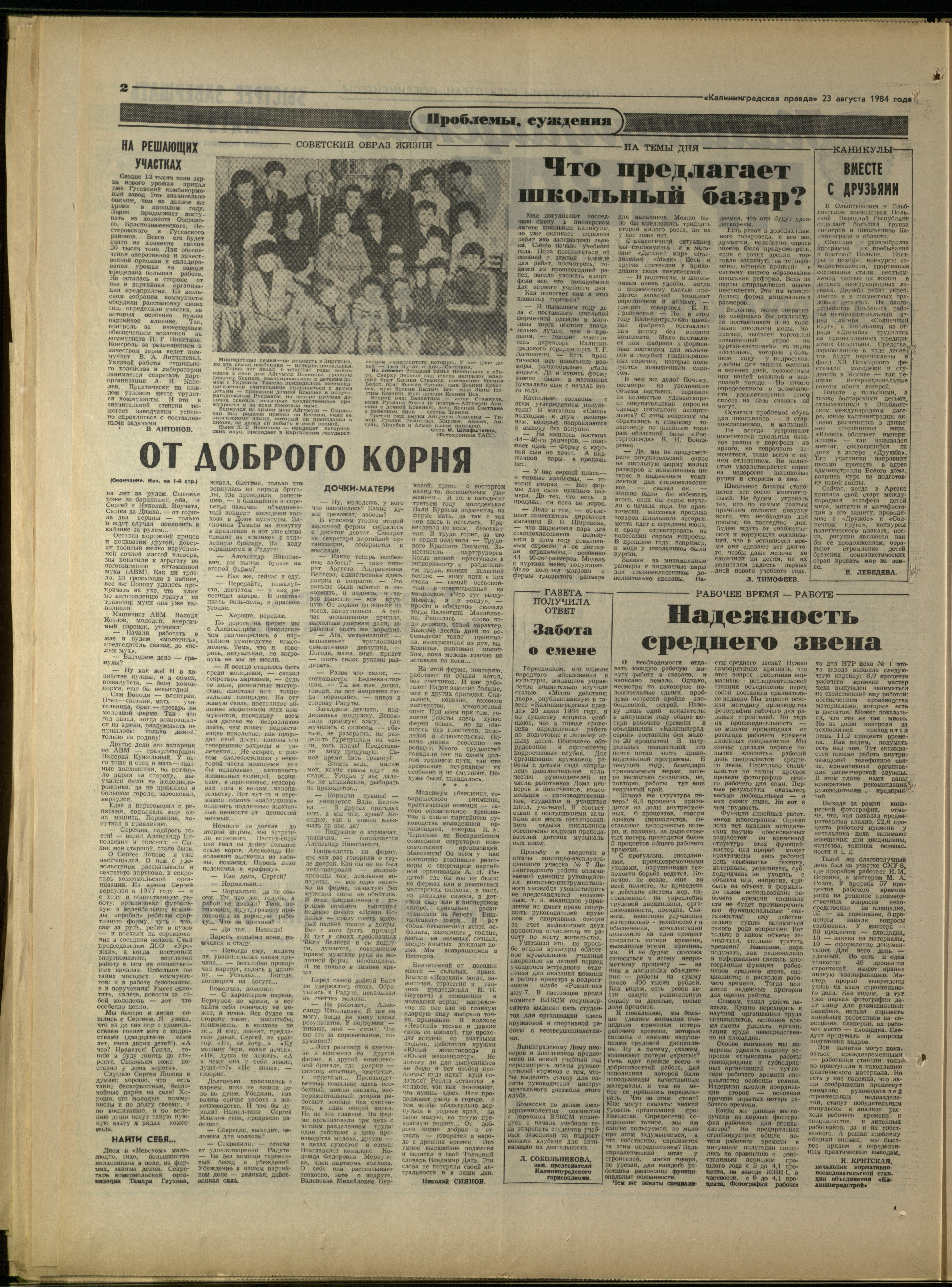 194-8-84-2