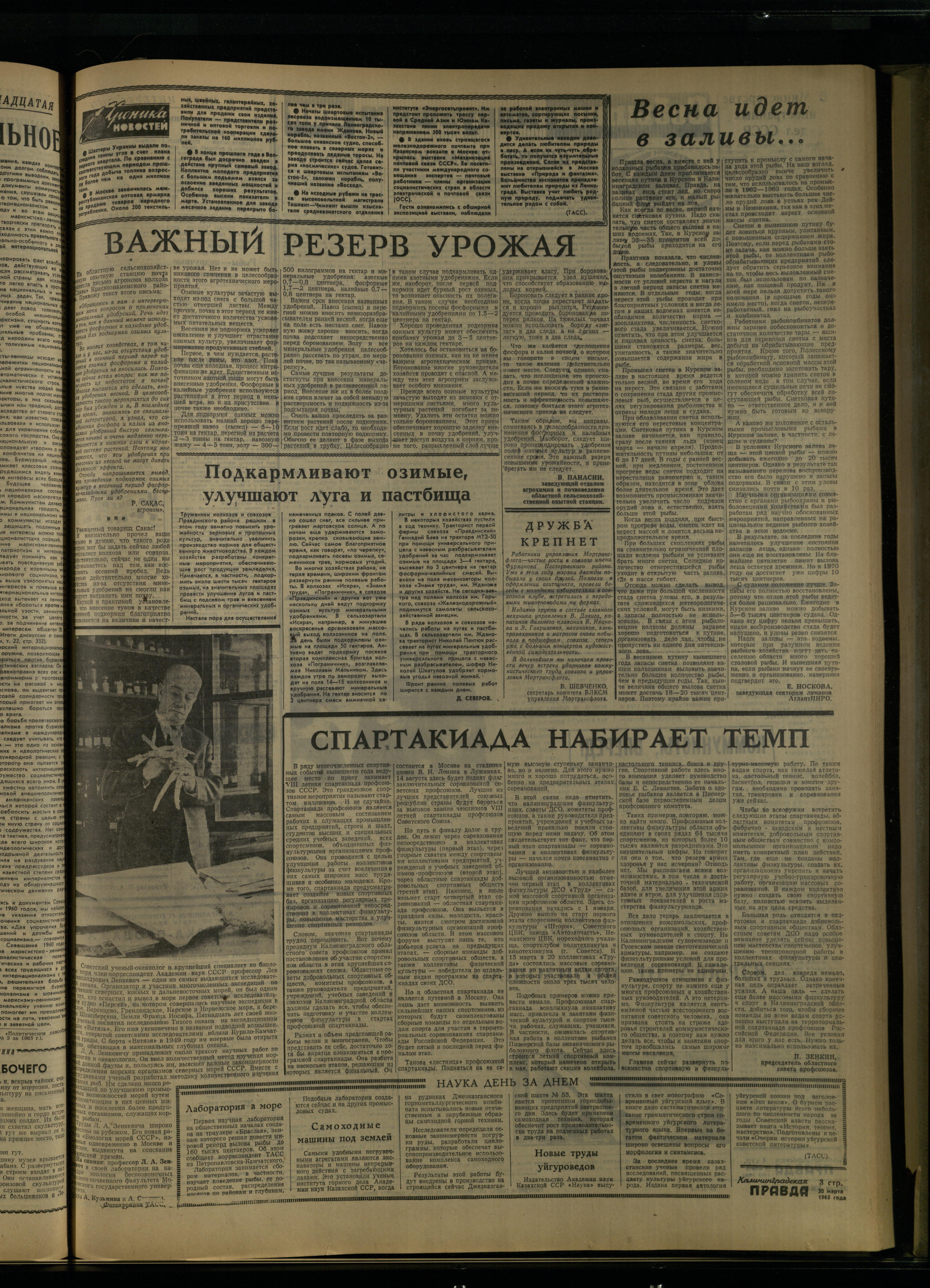 74-3-65-3
