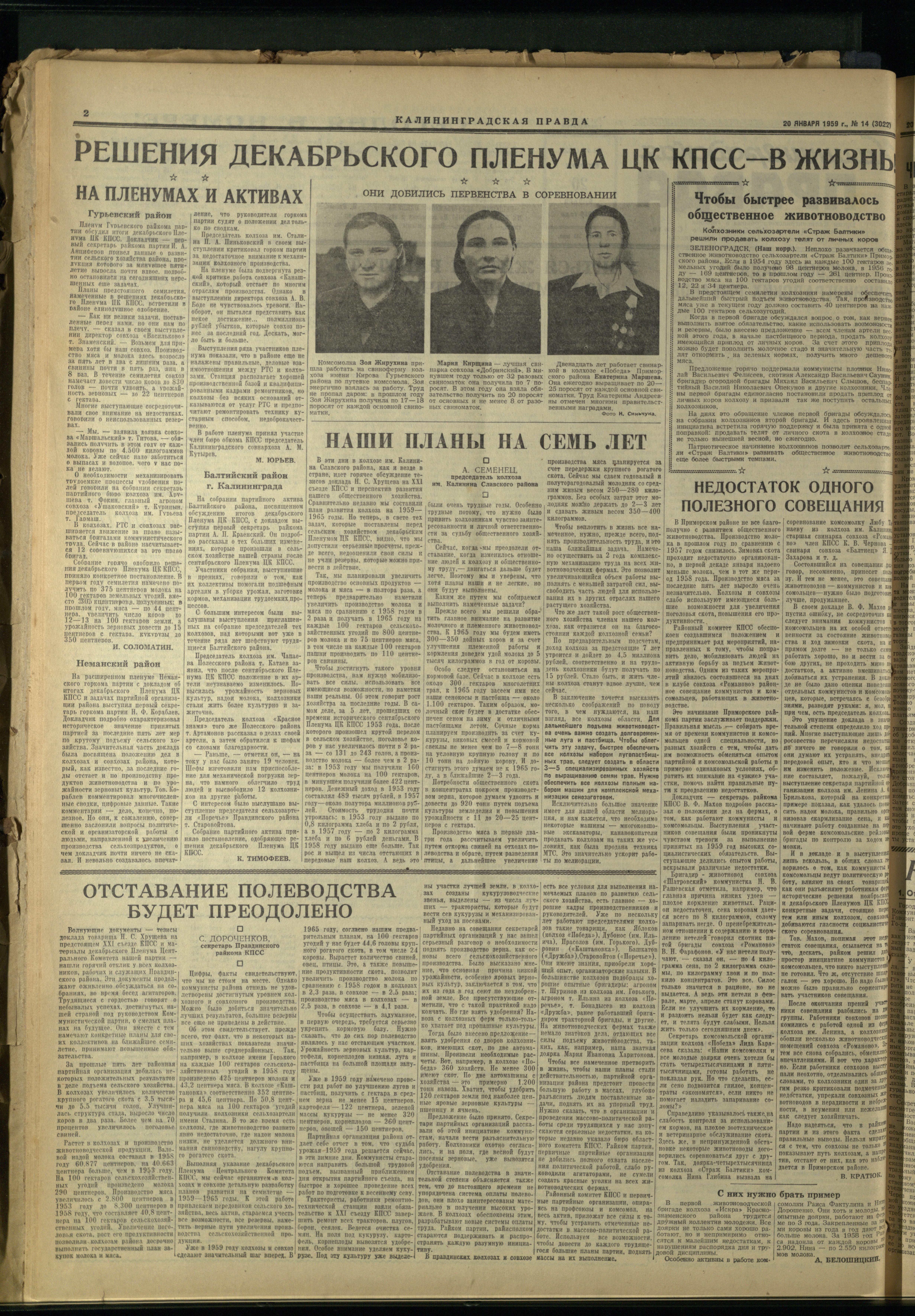 14-1-59-2