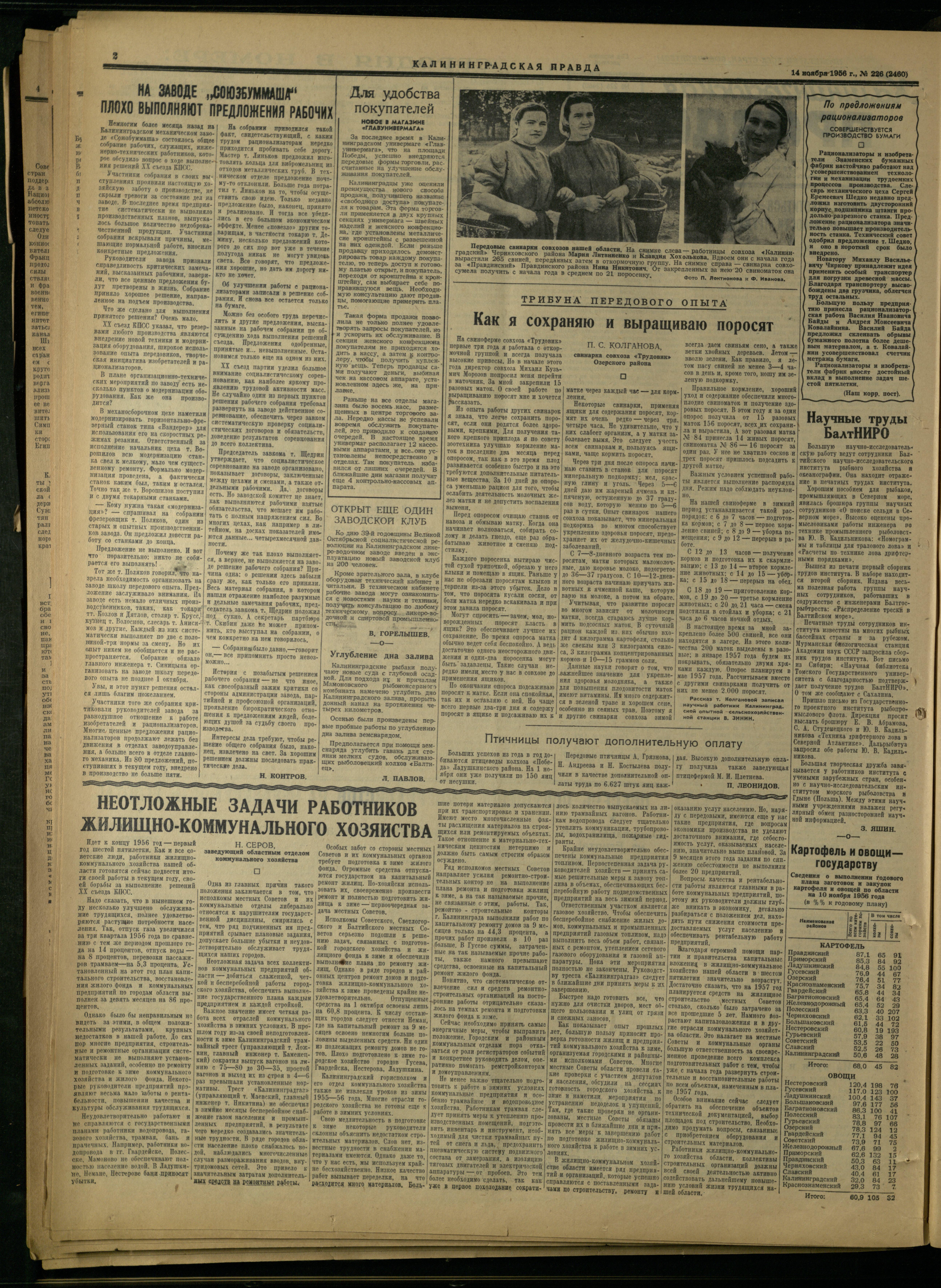 226-11-56-2