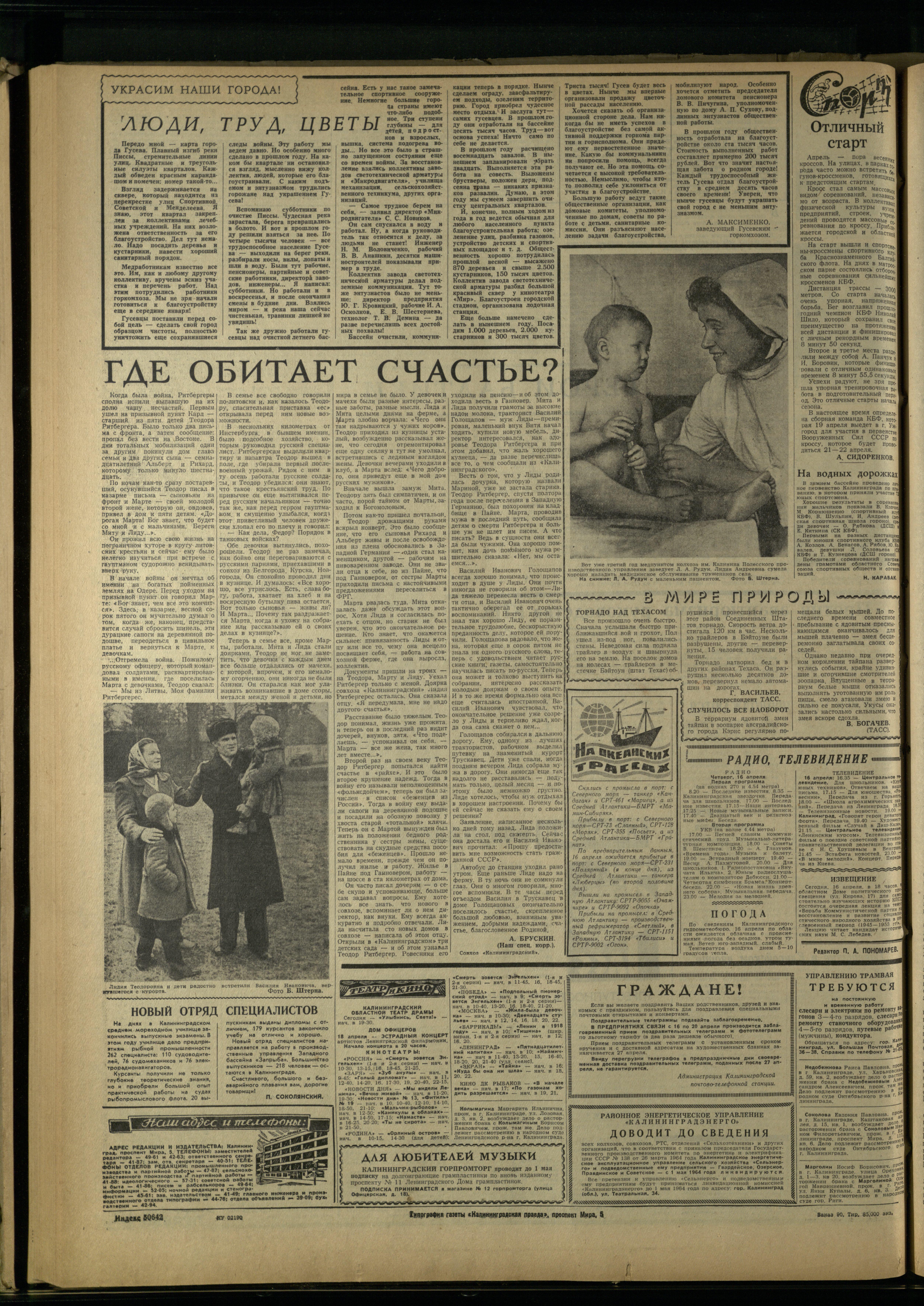 90-4-64-4