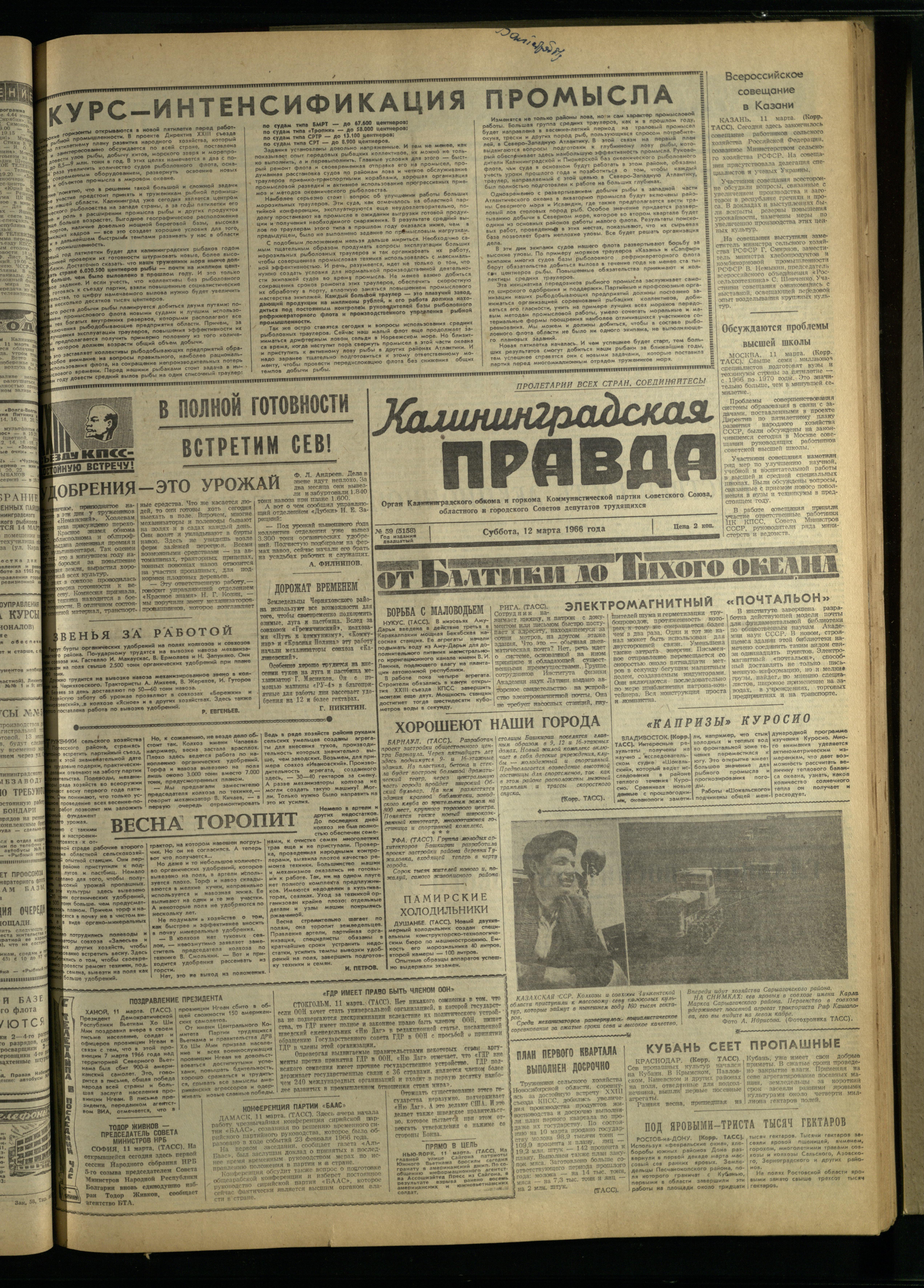 59-3-66-1