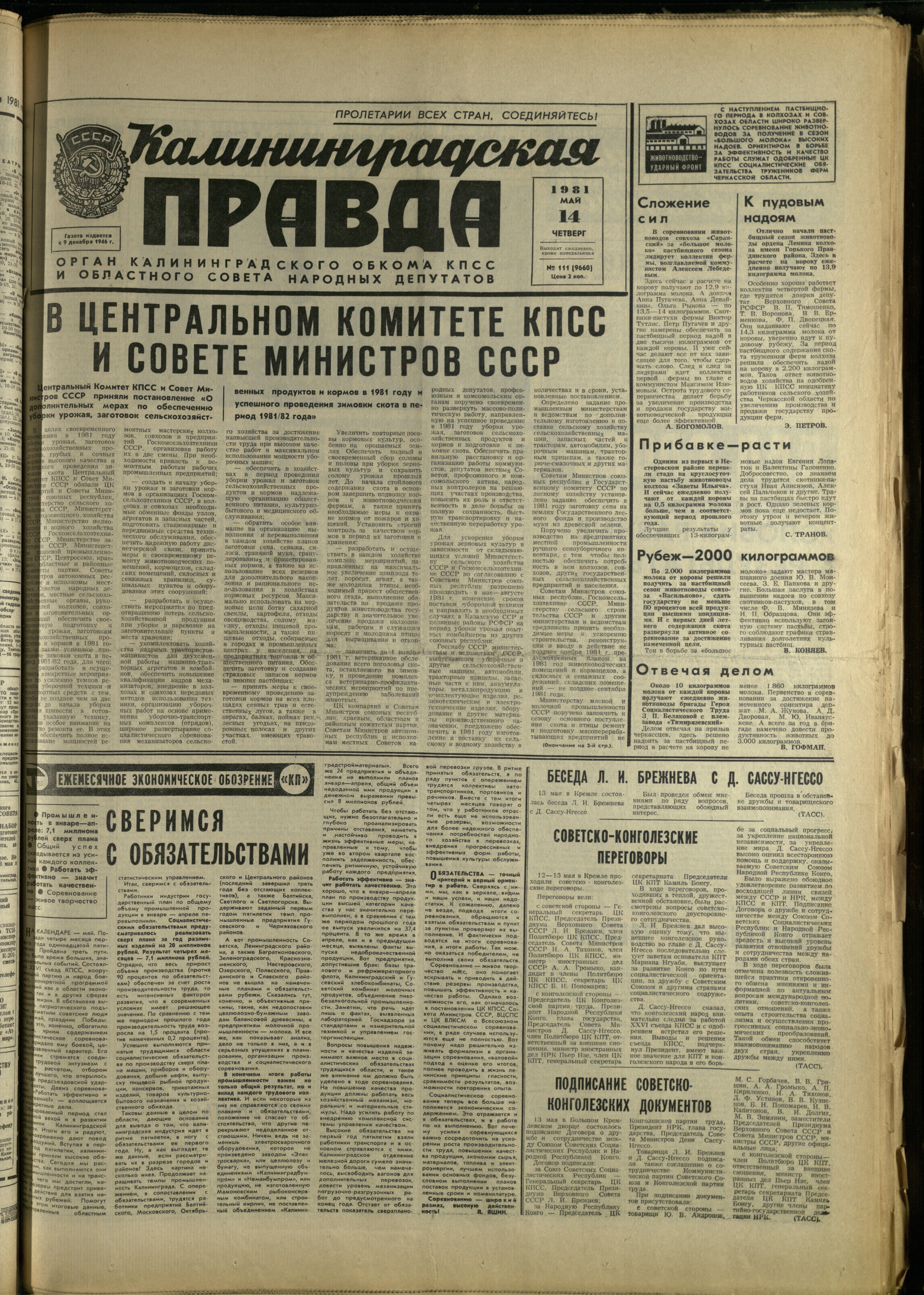 111-5-81-1