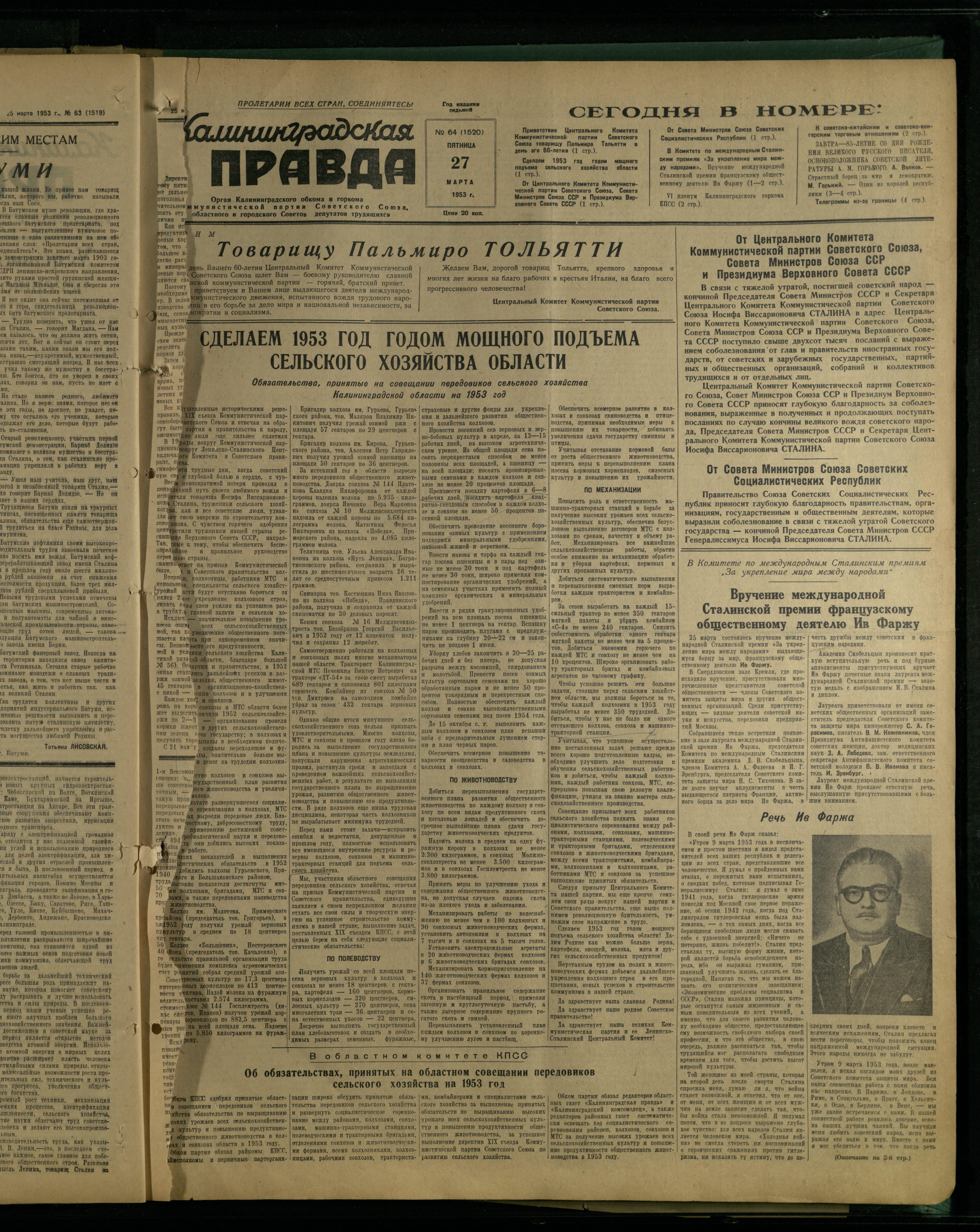 64-3-53-1