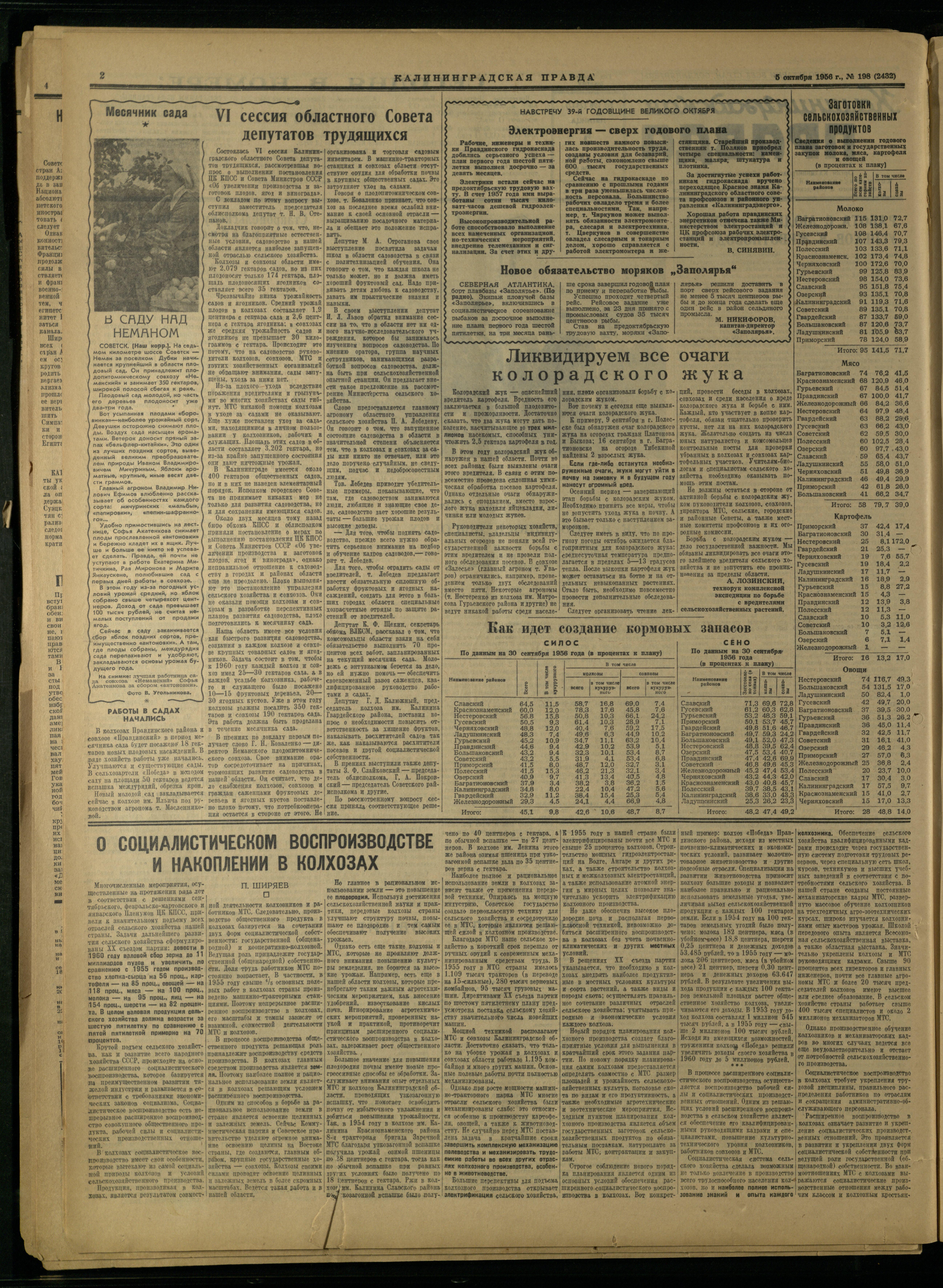 198-10-56-2