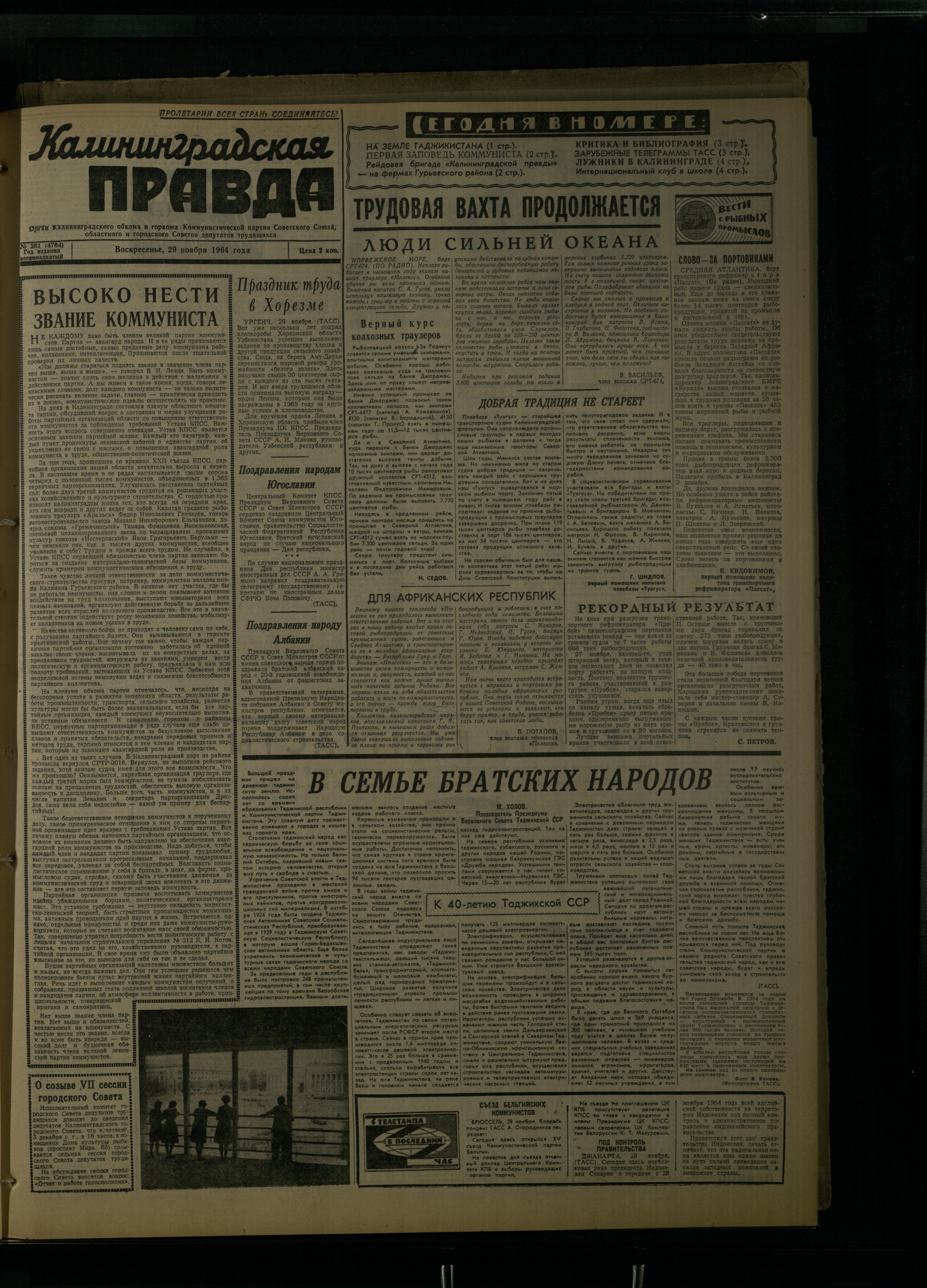 281-11-64-1