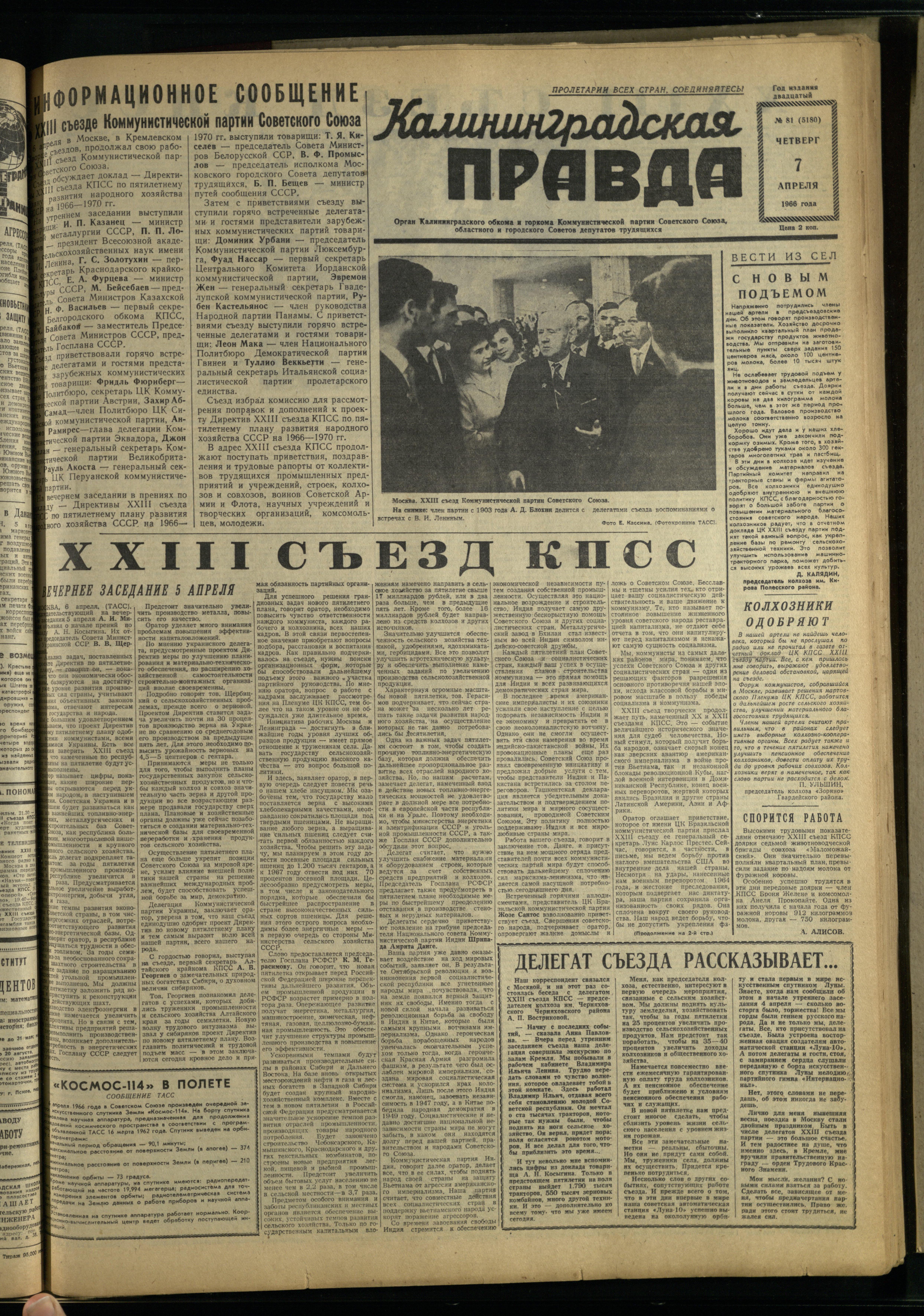 81-4-66-1