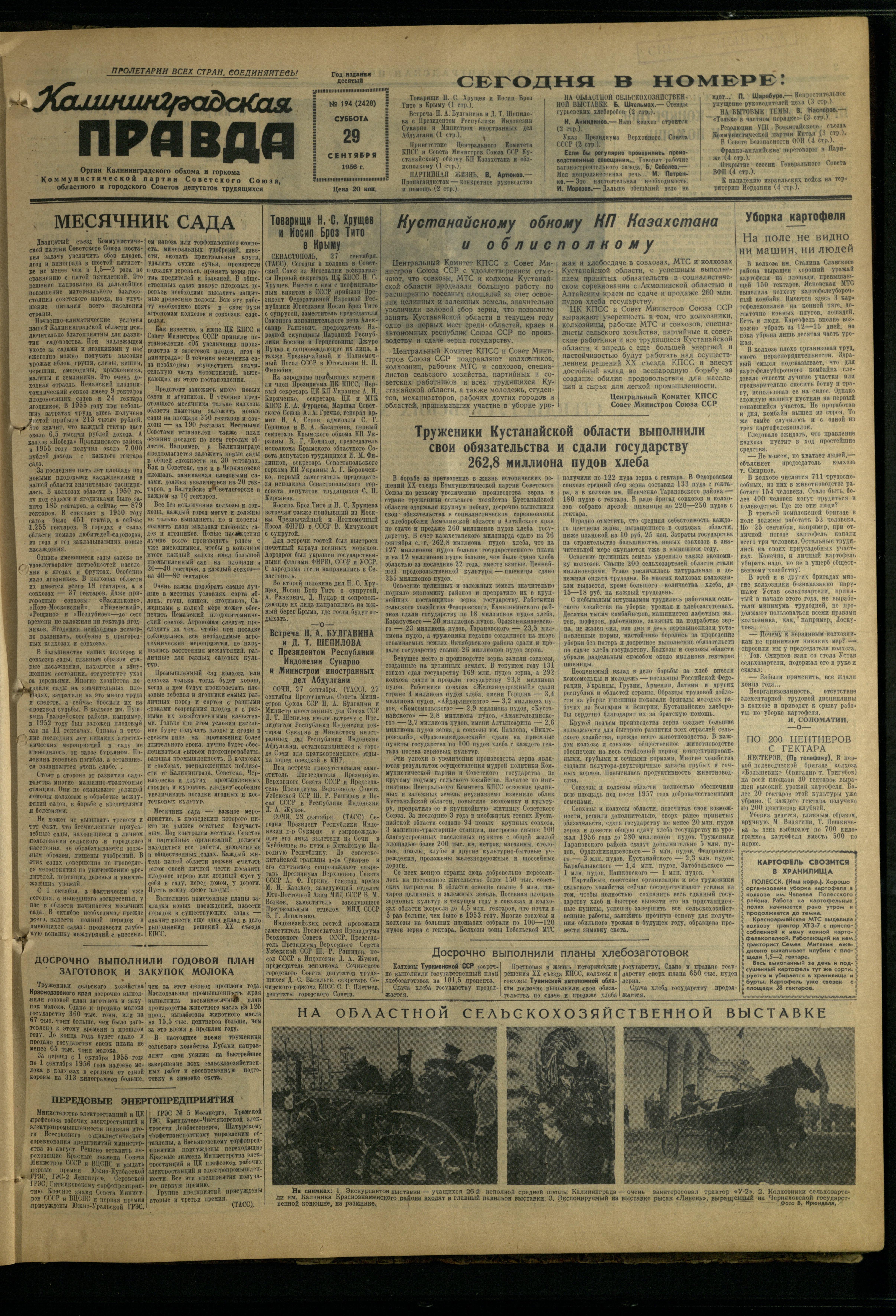 194-9-56-1