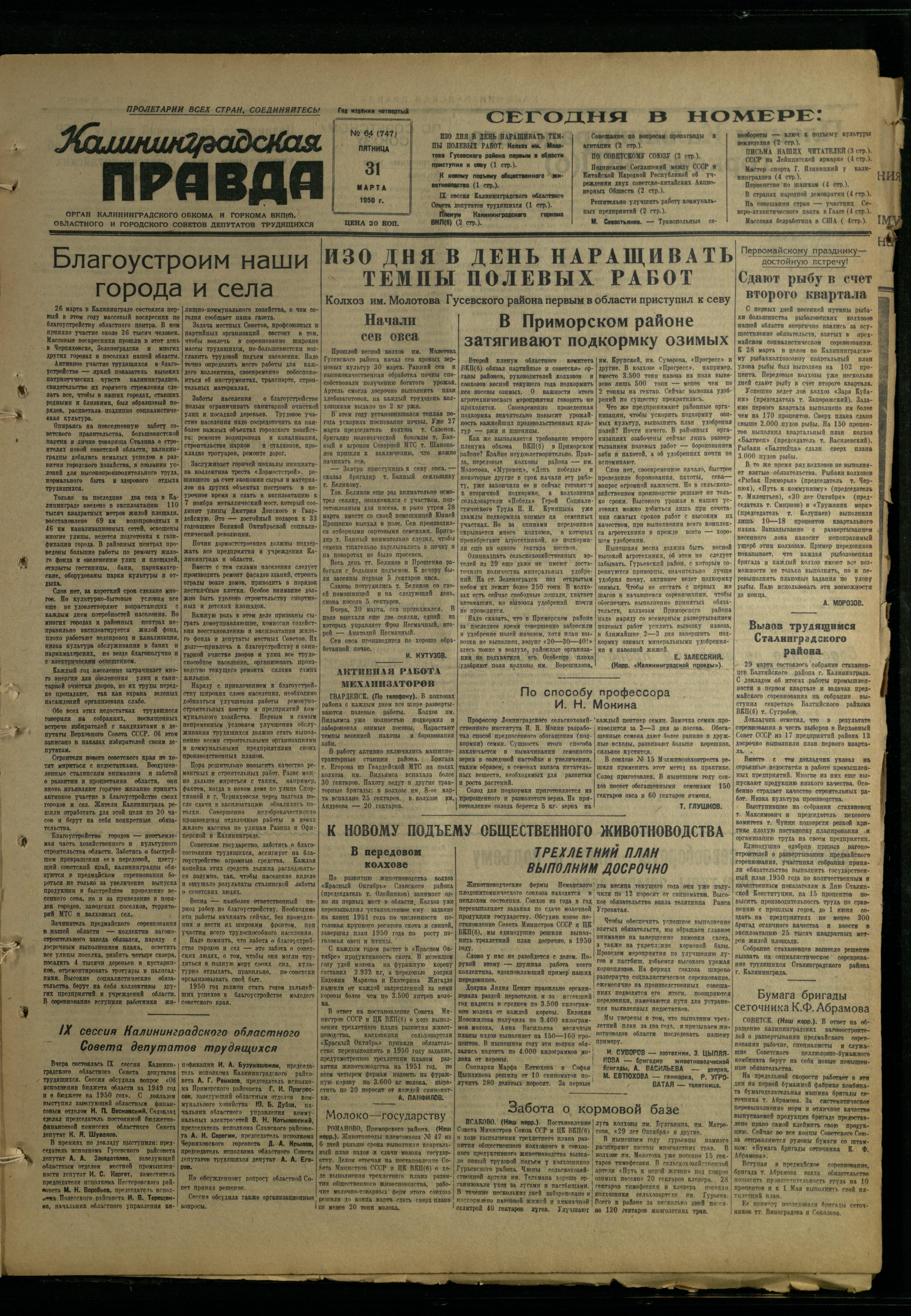 64-3-50-1
