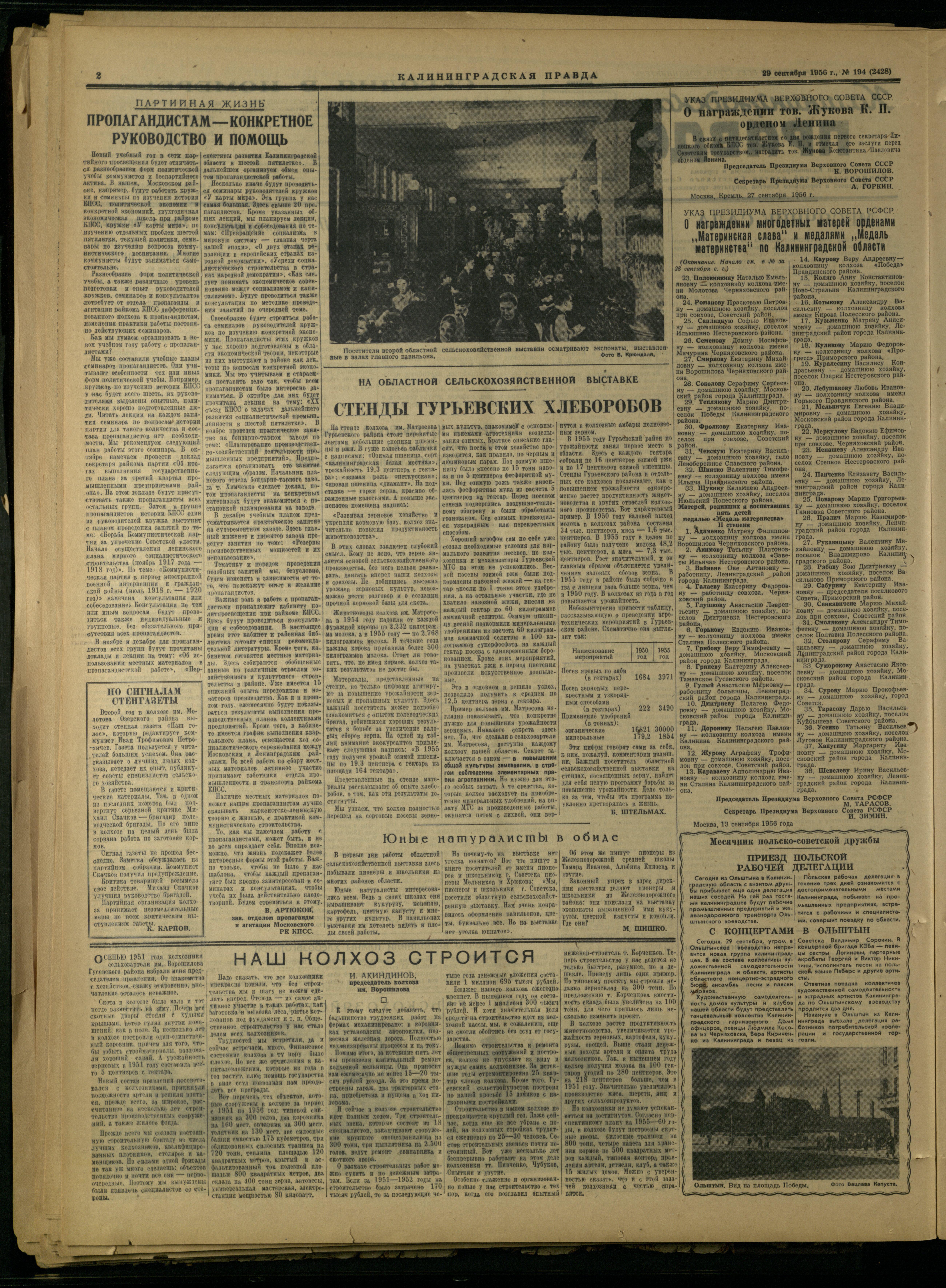 194-9-56-2
