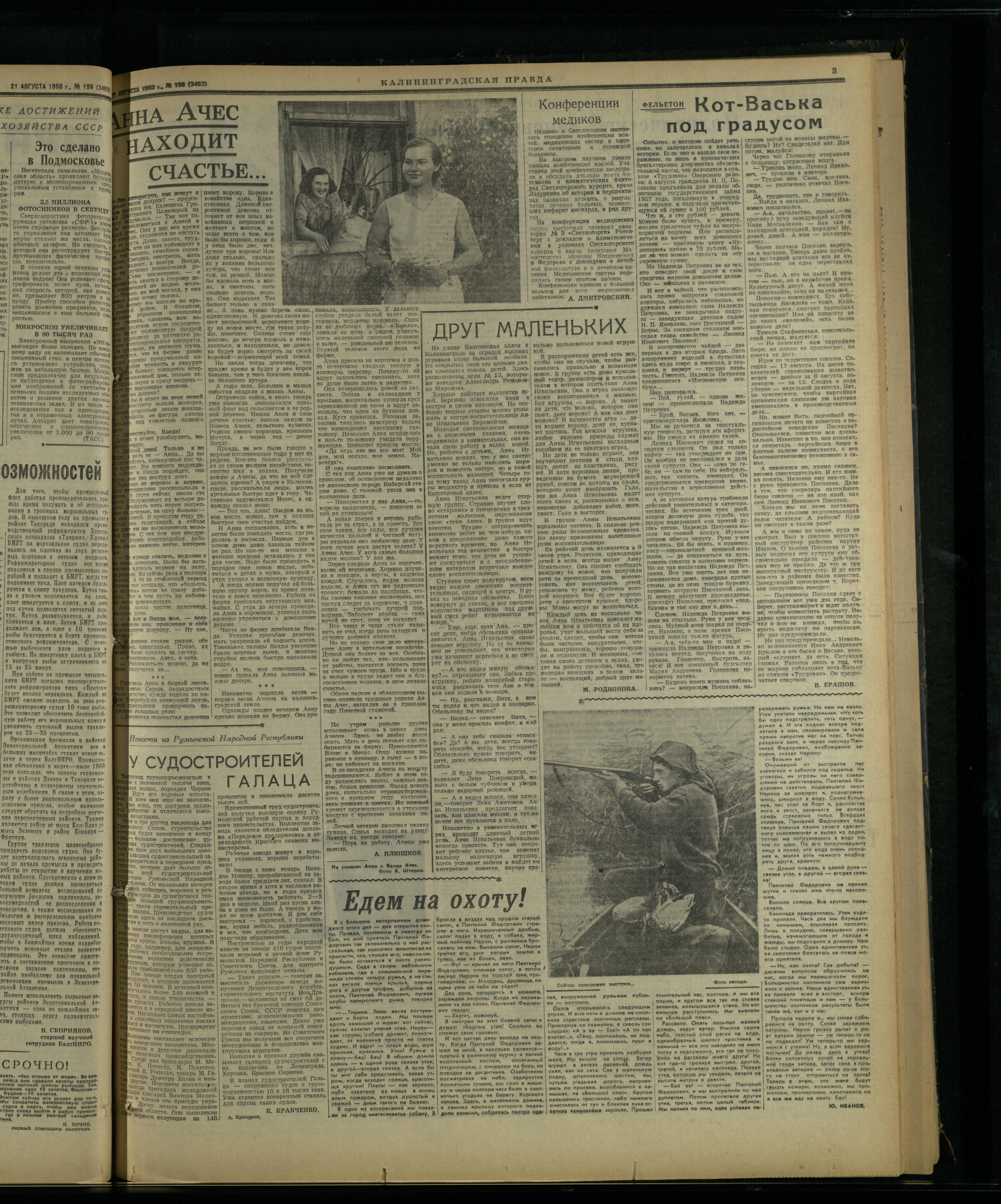 198-8-60-3