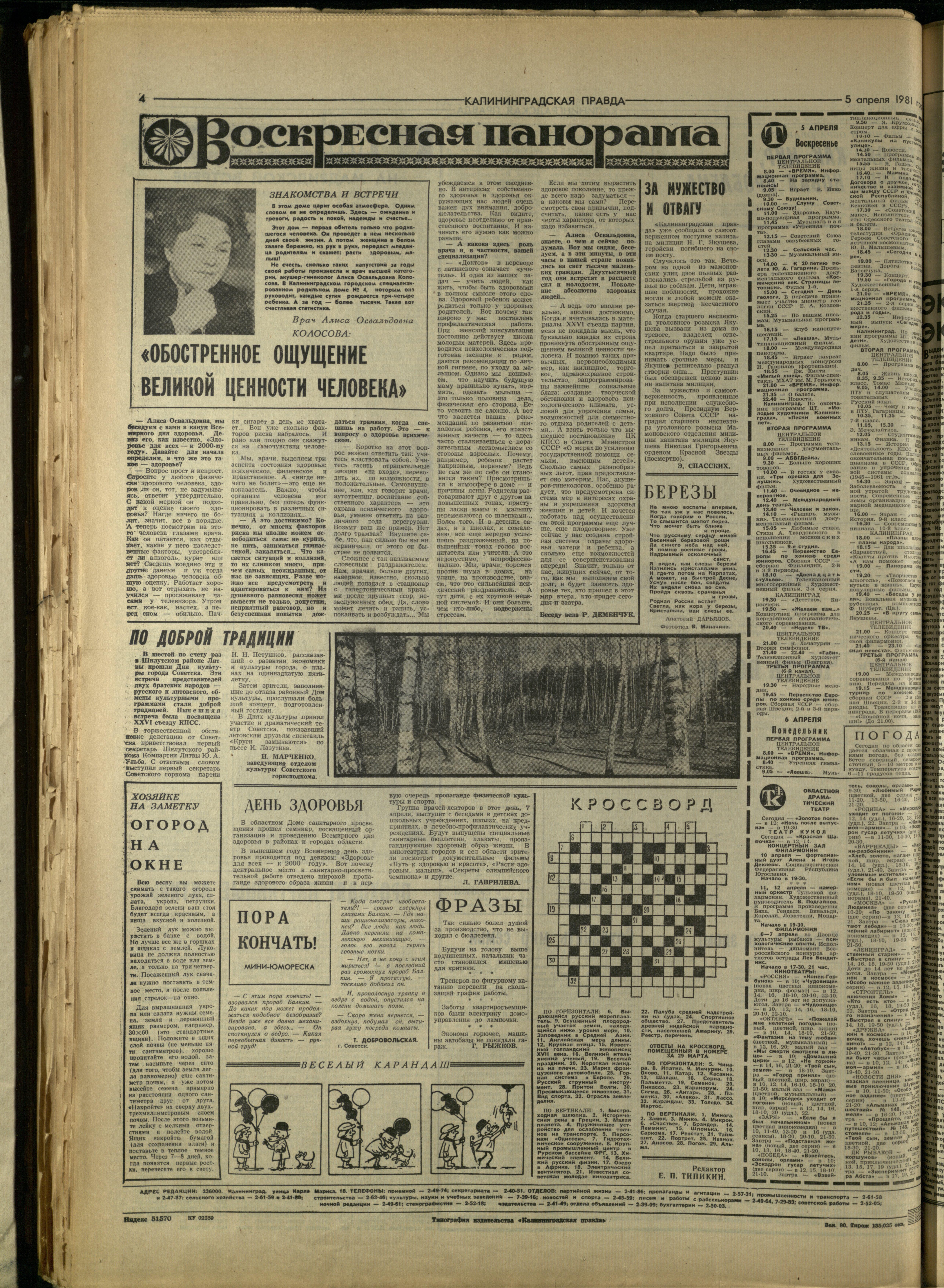 80-4-81-4