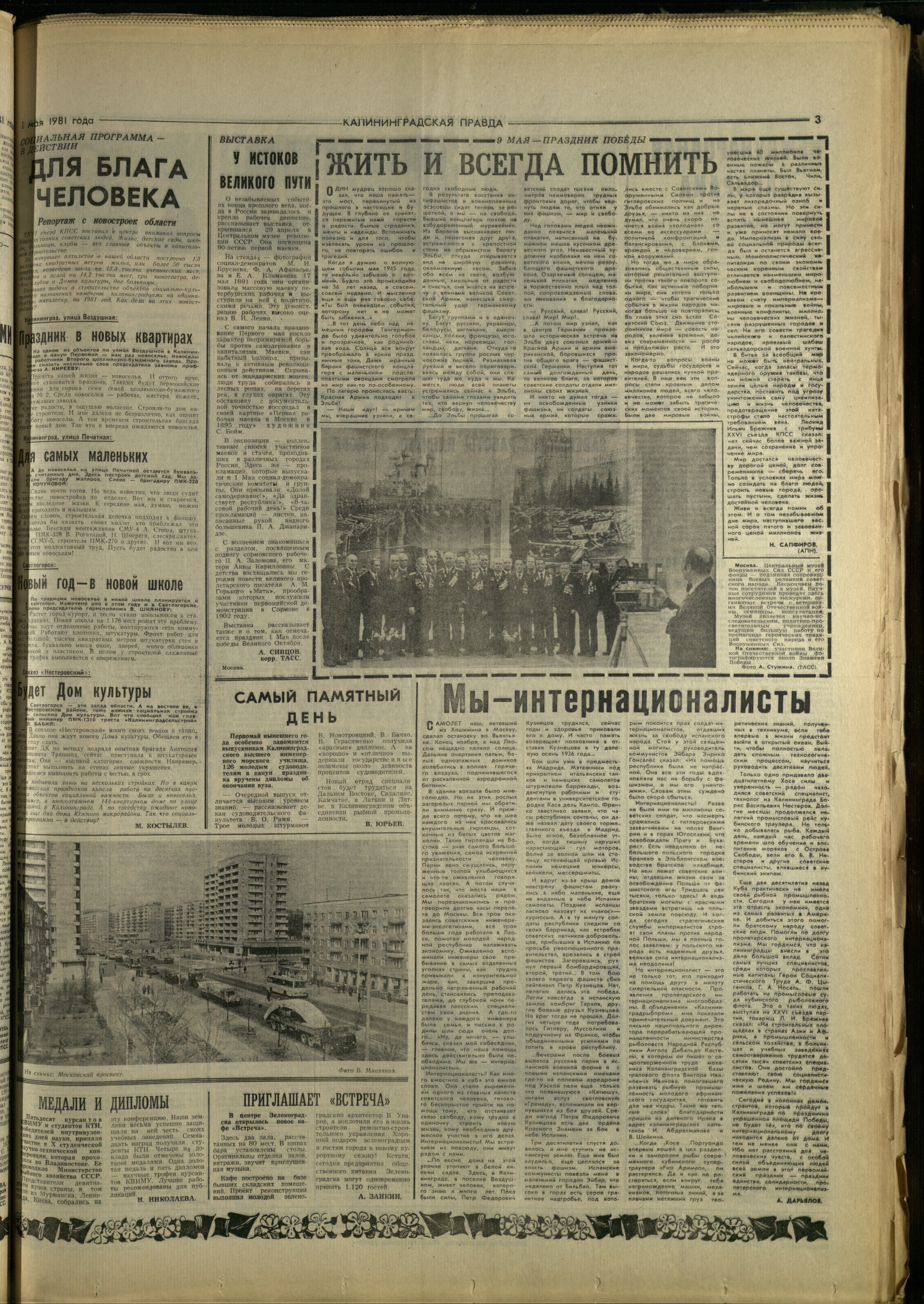 101-5-81-3