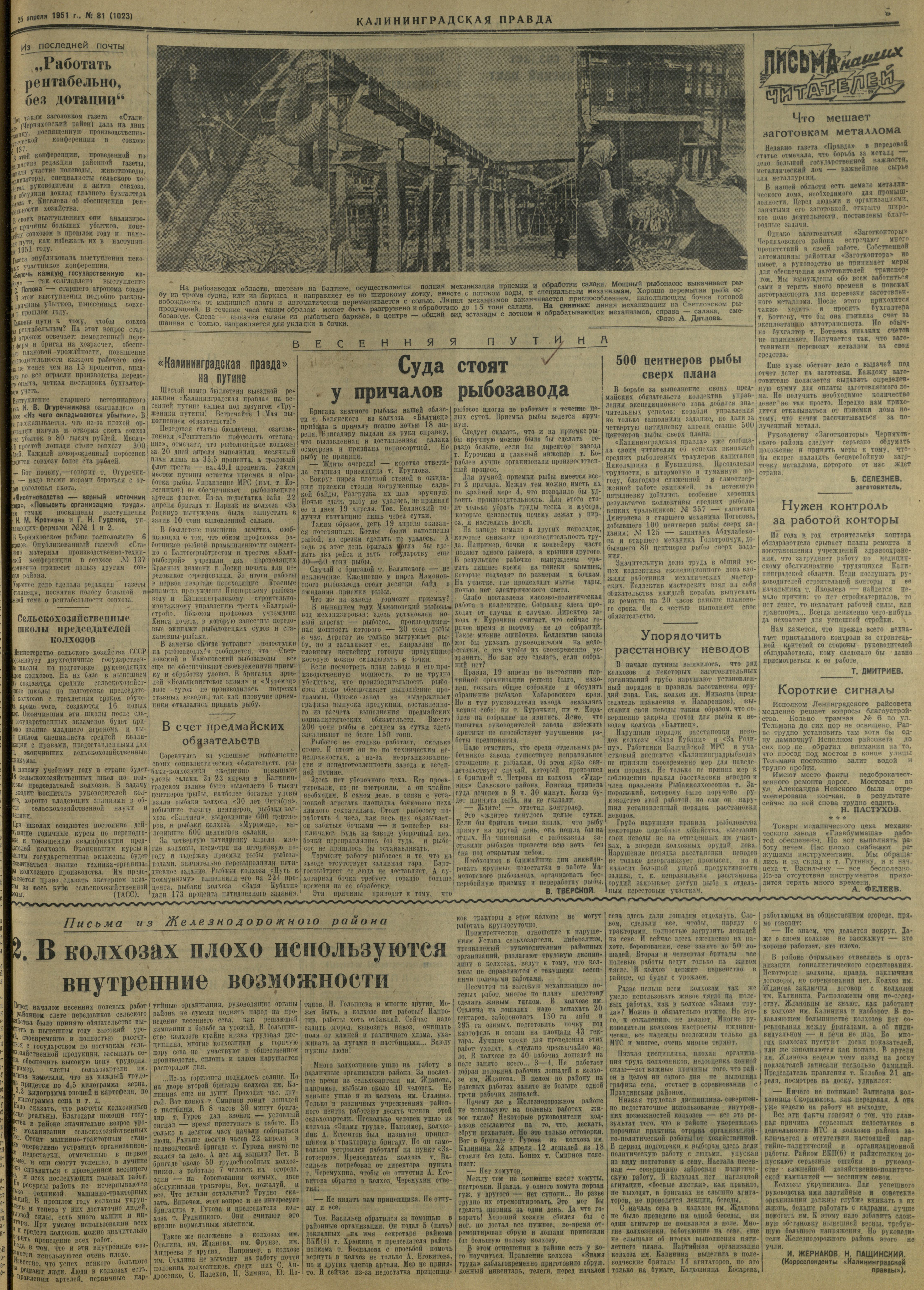 81-4-51-3