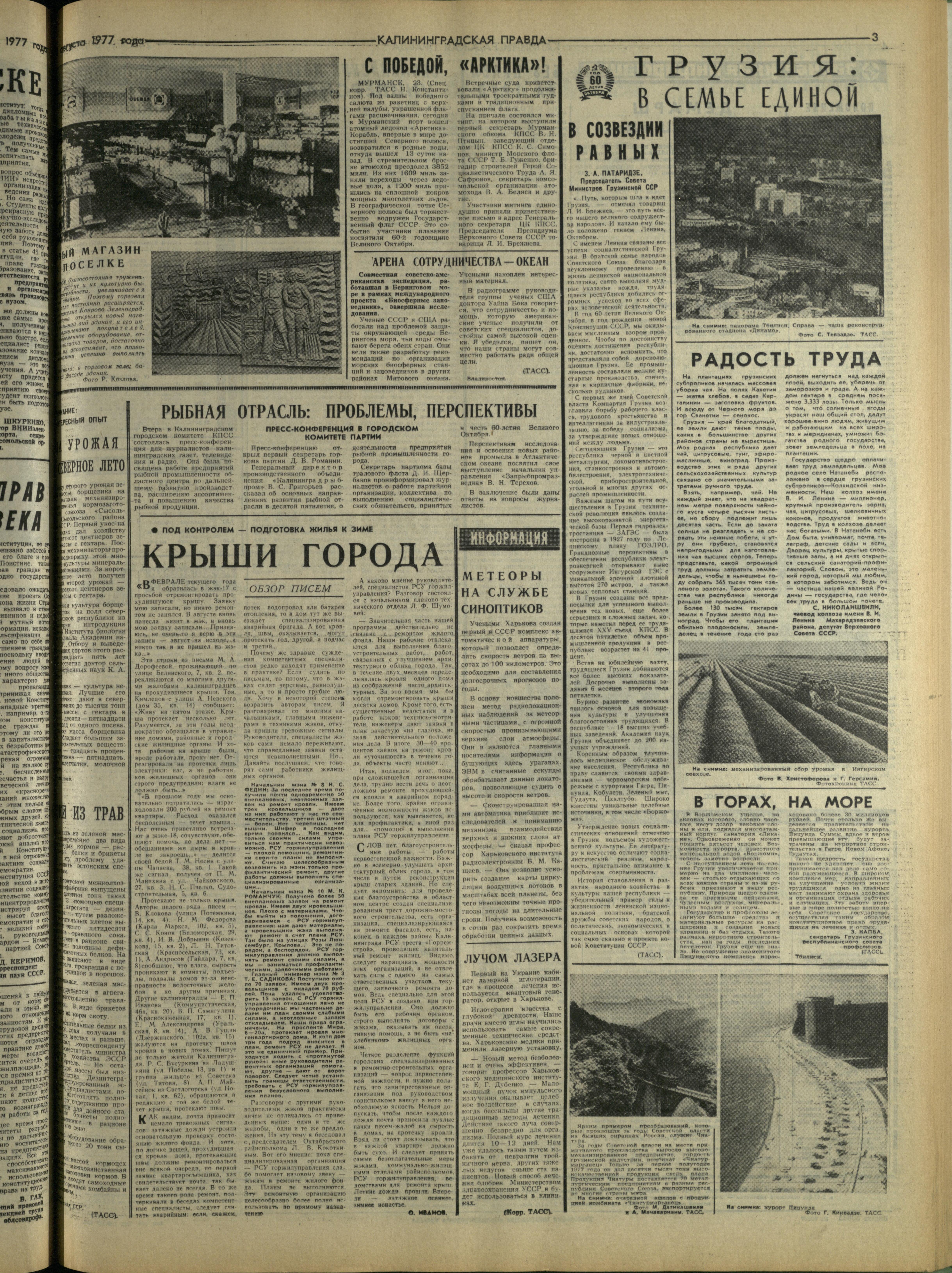 198-8-77-3