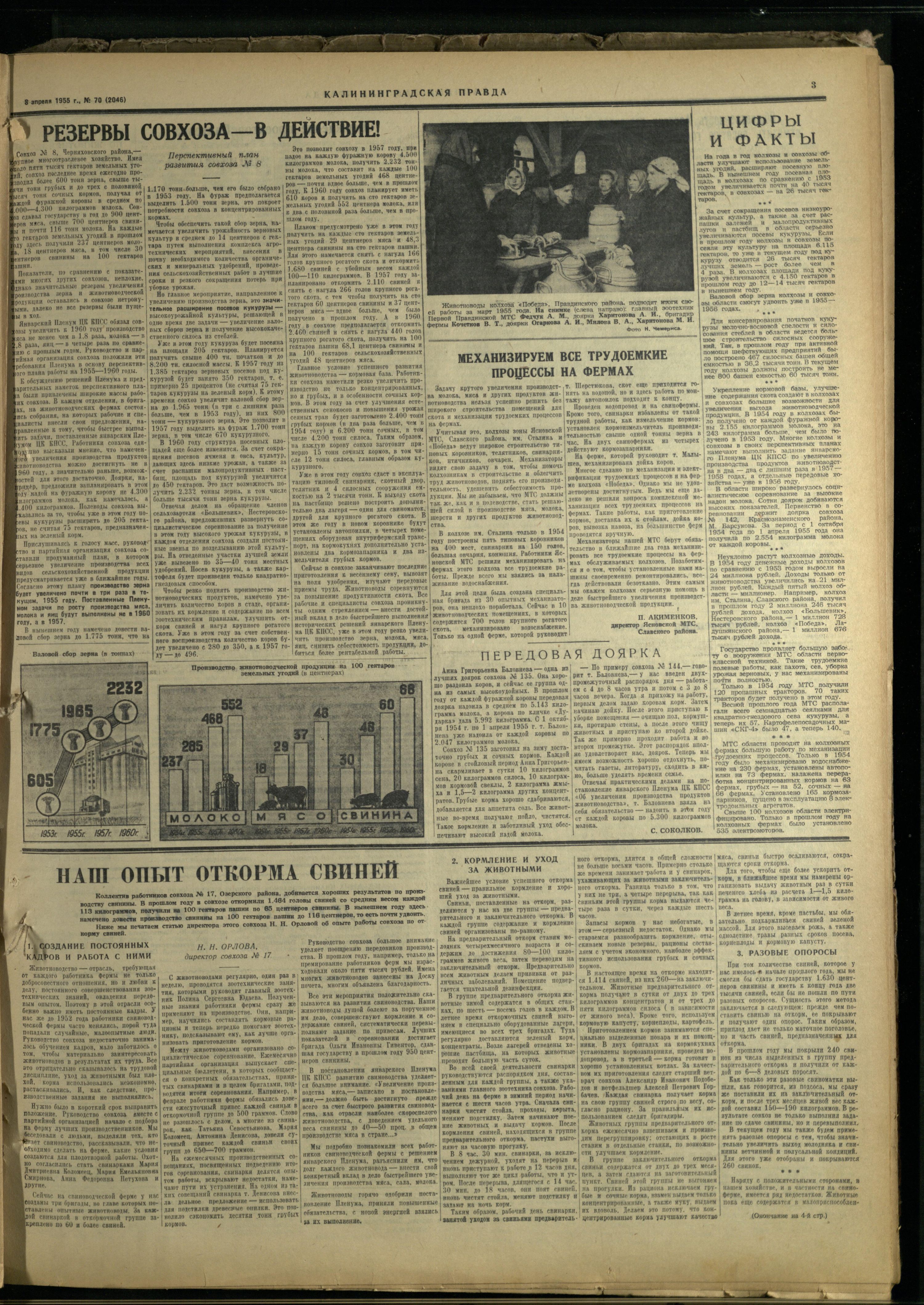 70-4-55-3