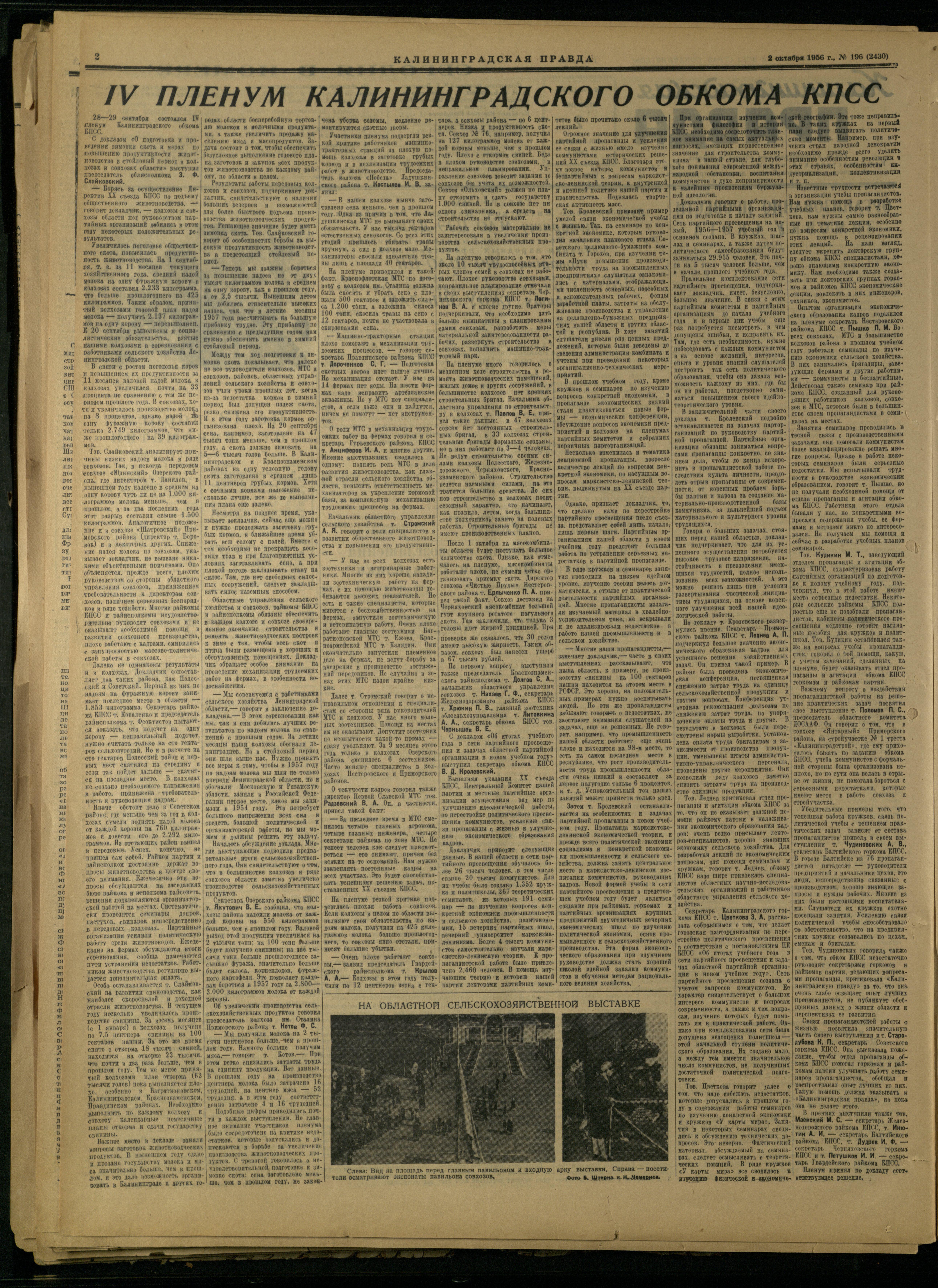 196-10-56-2
