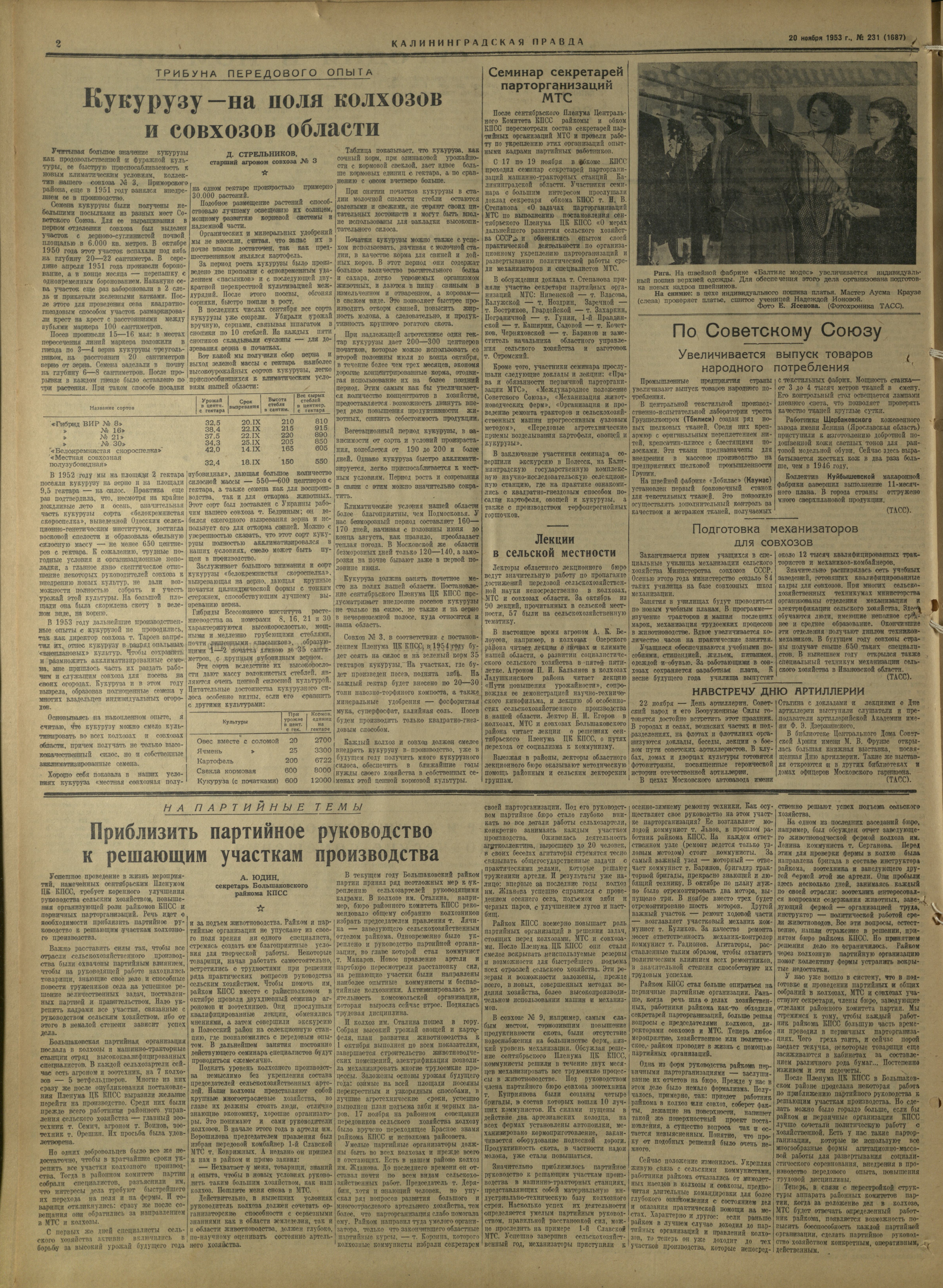 231-11-53-2