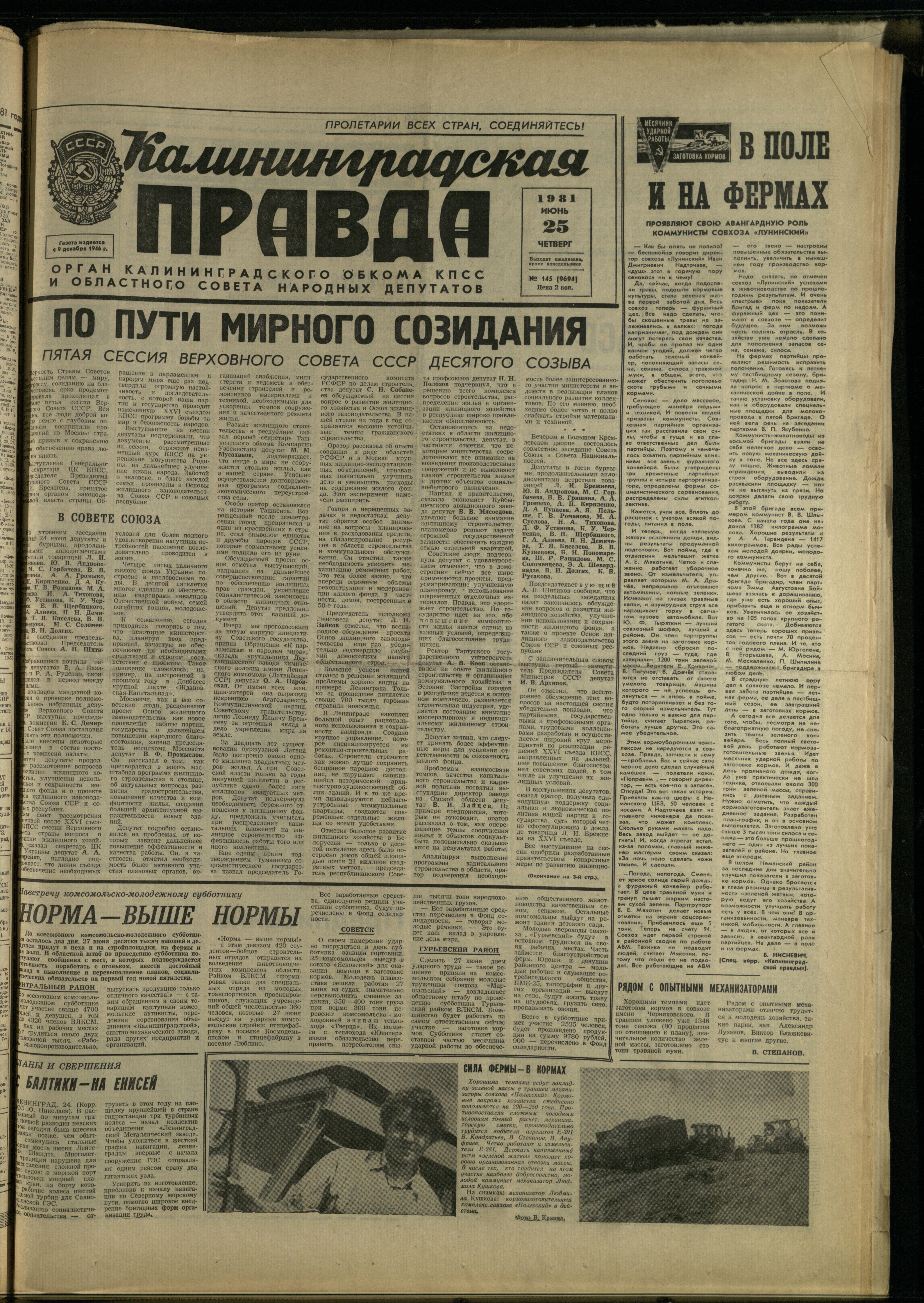 145-6-81-1