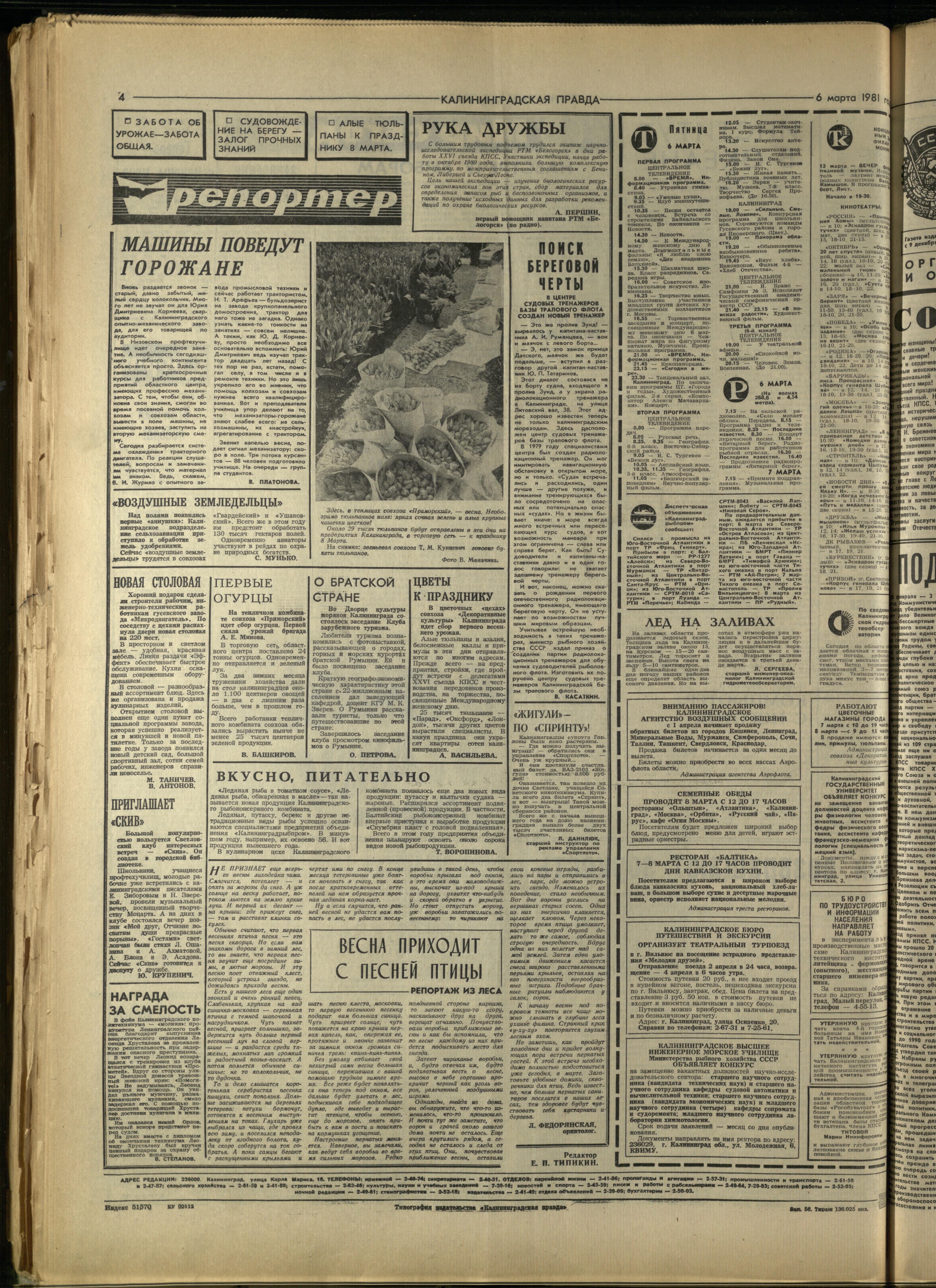 56-3-81-4