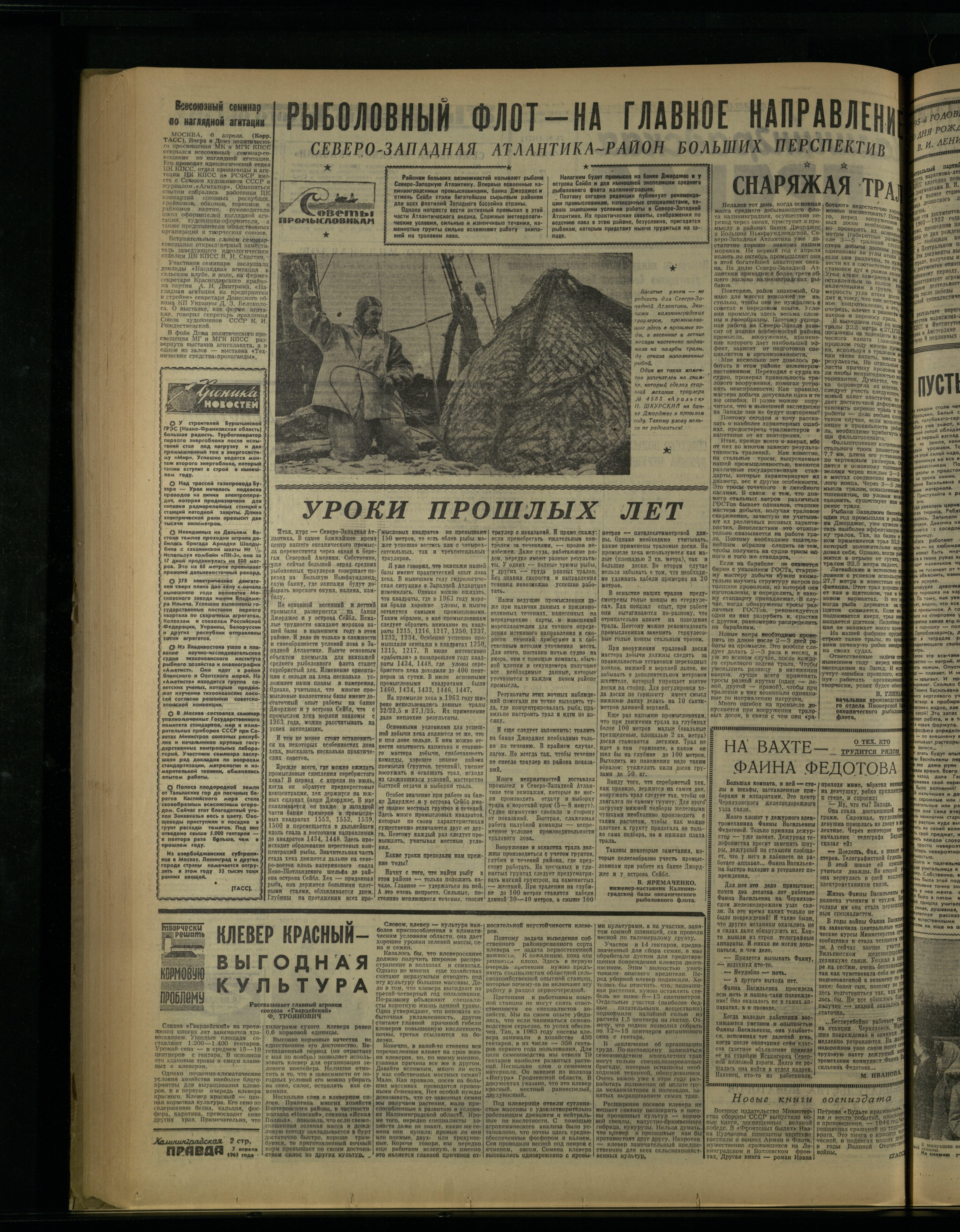 81-4-65-2