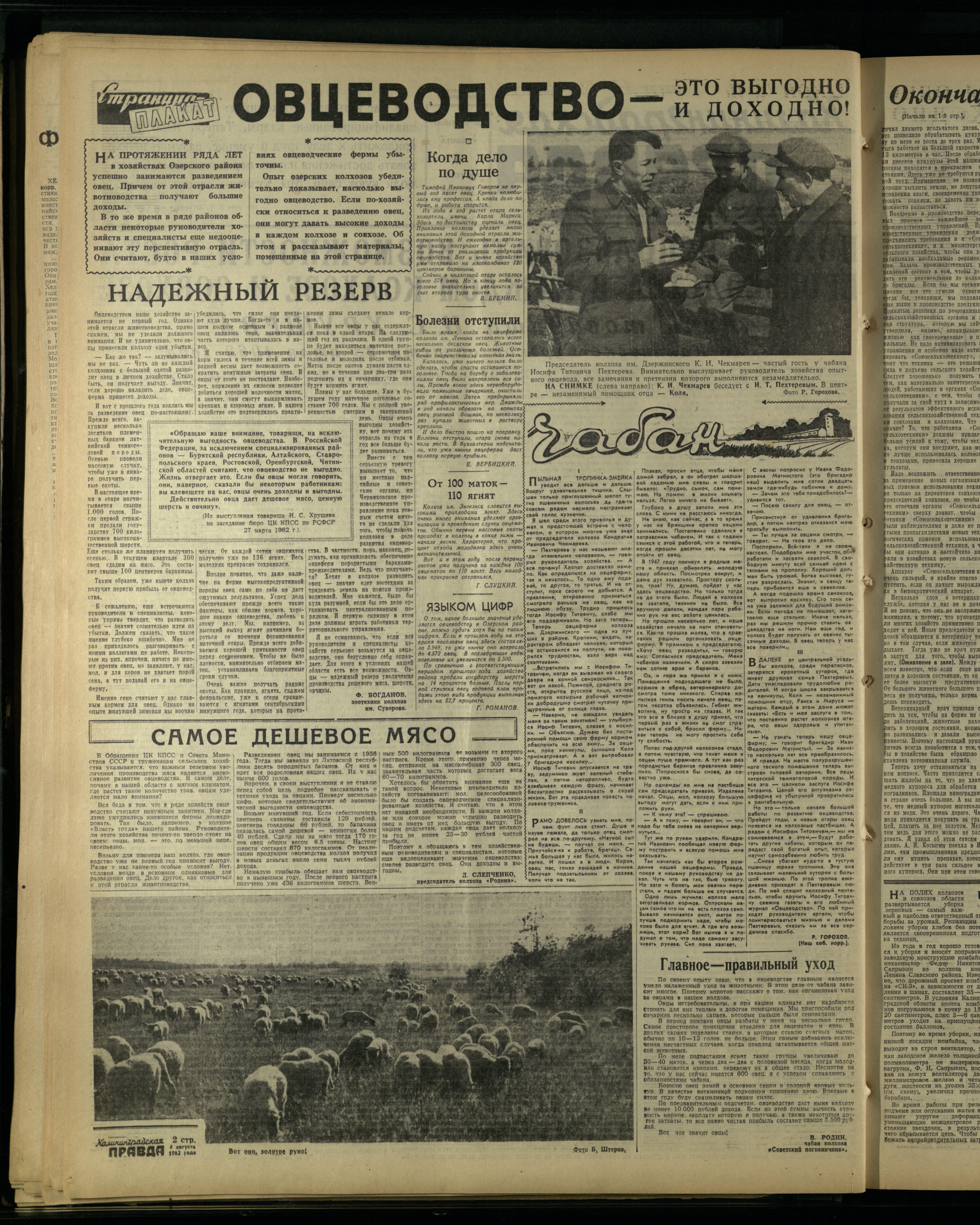 182-8-62-2